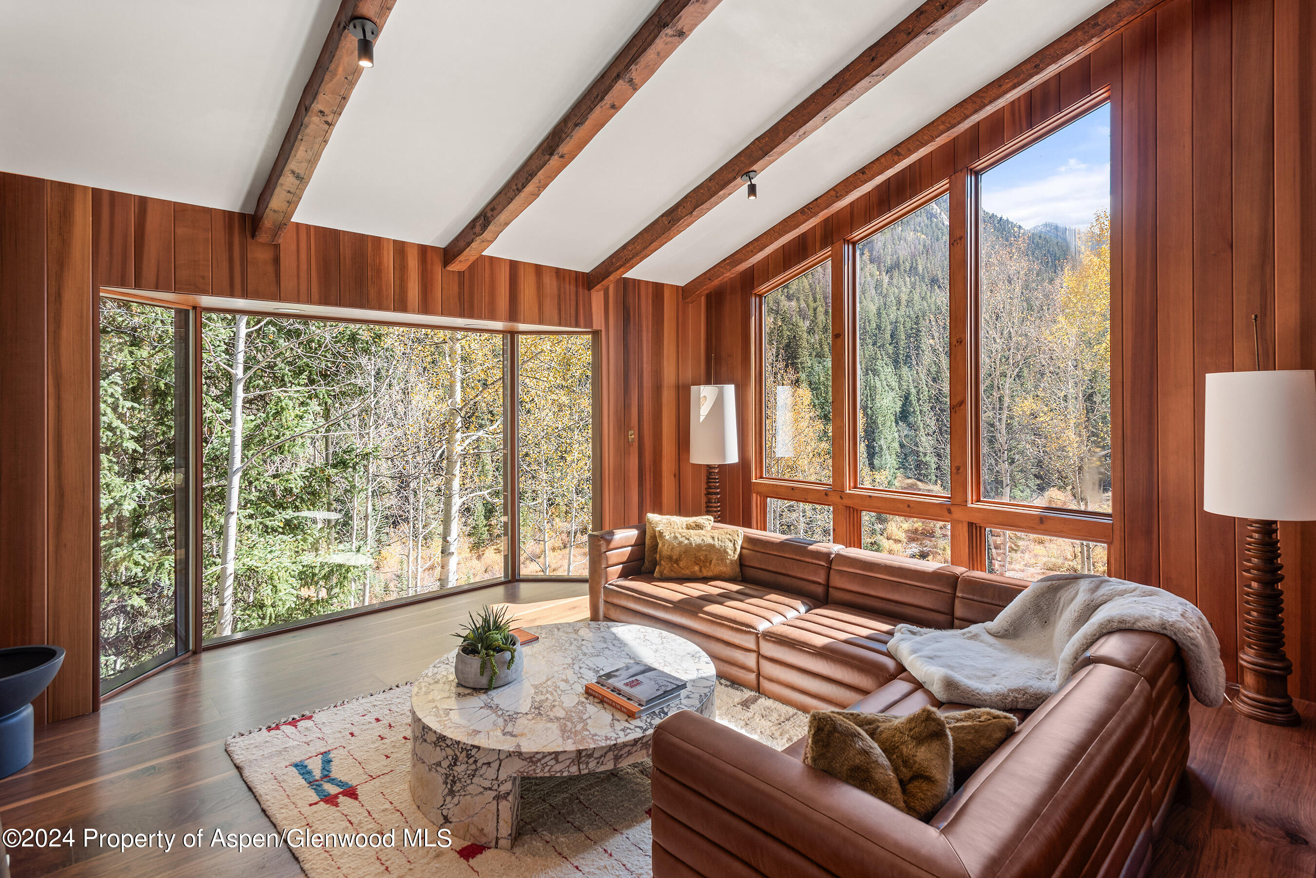 9888 Castle Creek Road Aspen CO 81611
