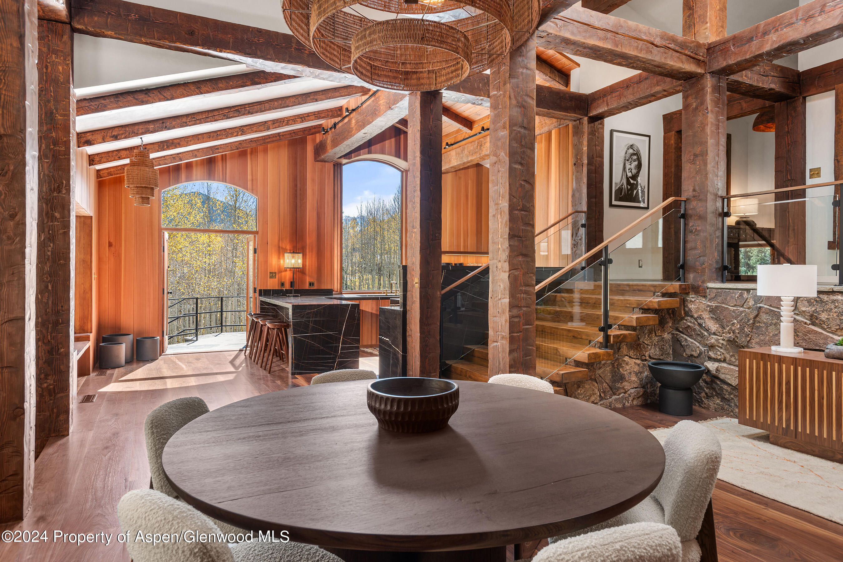 9888 Castle Creek Road Aspen CO 81611