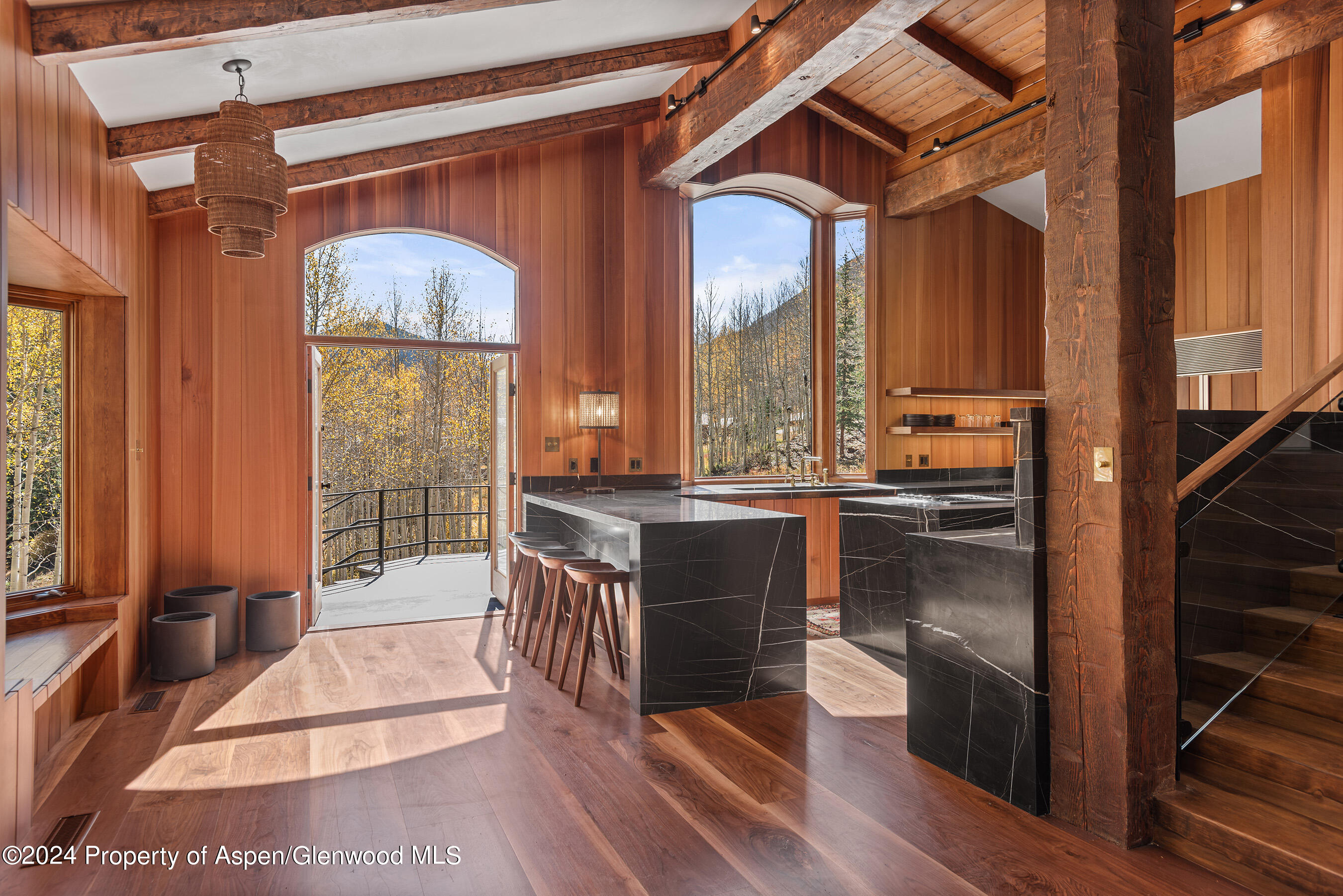 9888 Castle Creek Road Aspen CO 81611