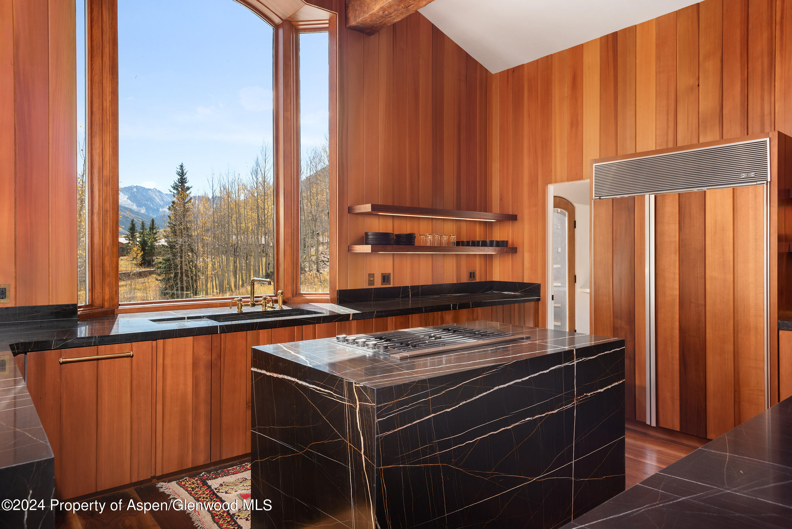 9888 Castle Creek Road Aspen CO 81611