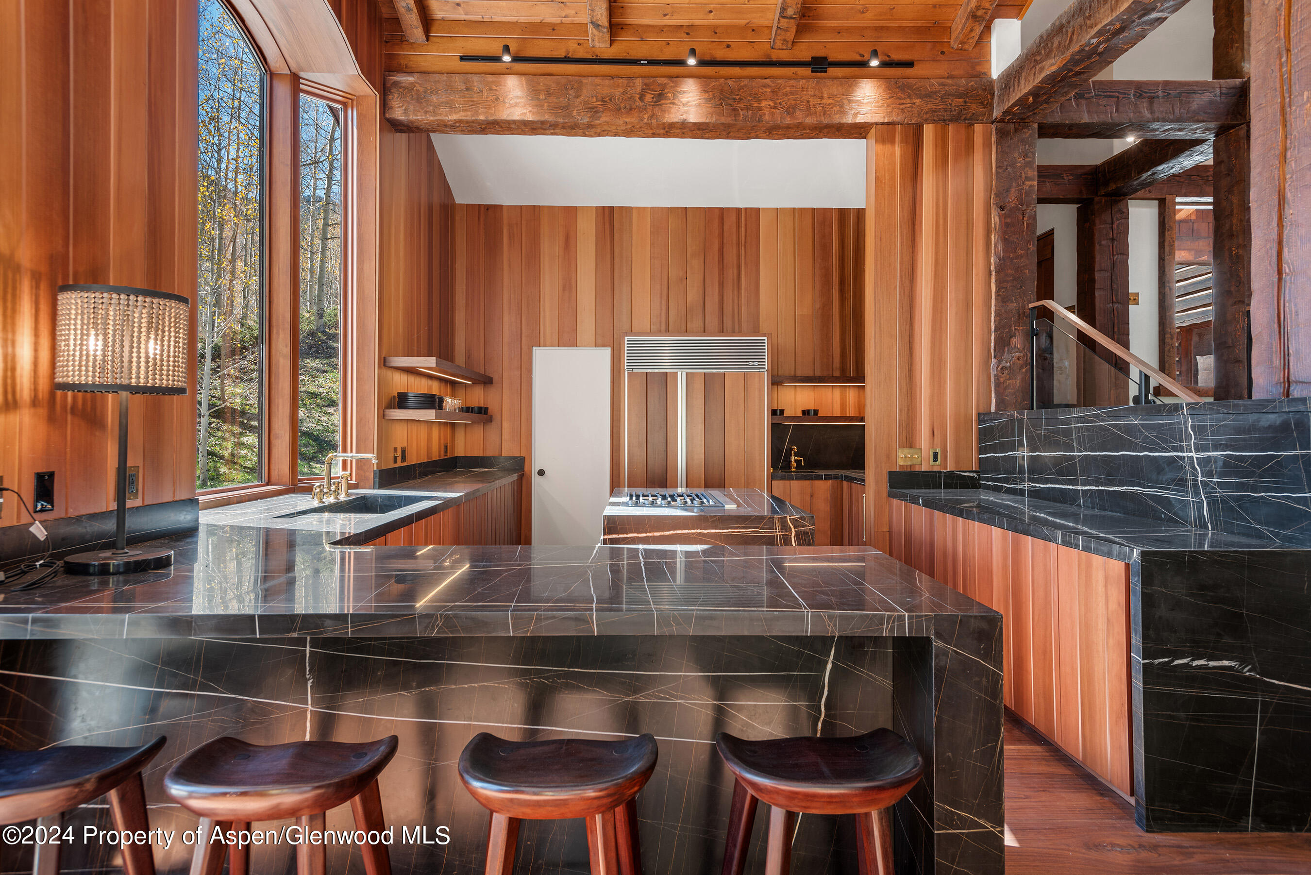 9888 Castle Creek Road Aspen CO 81611