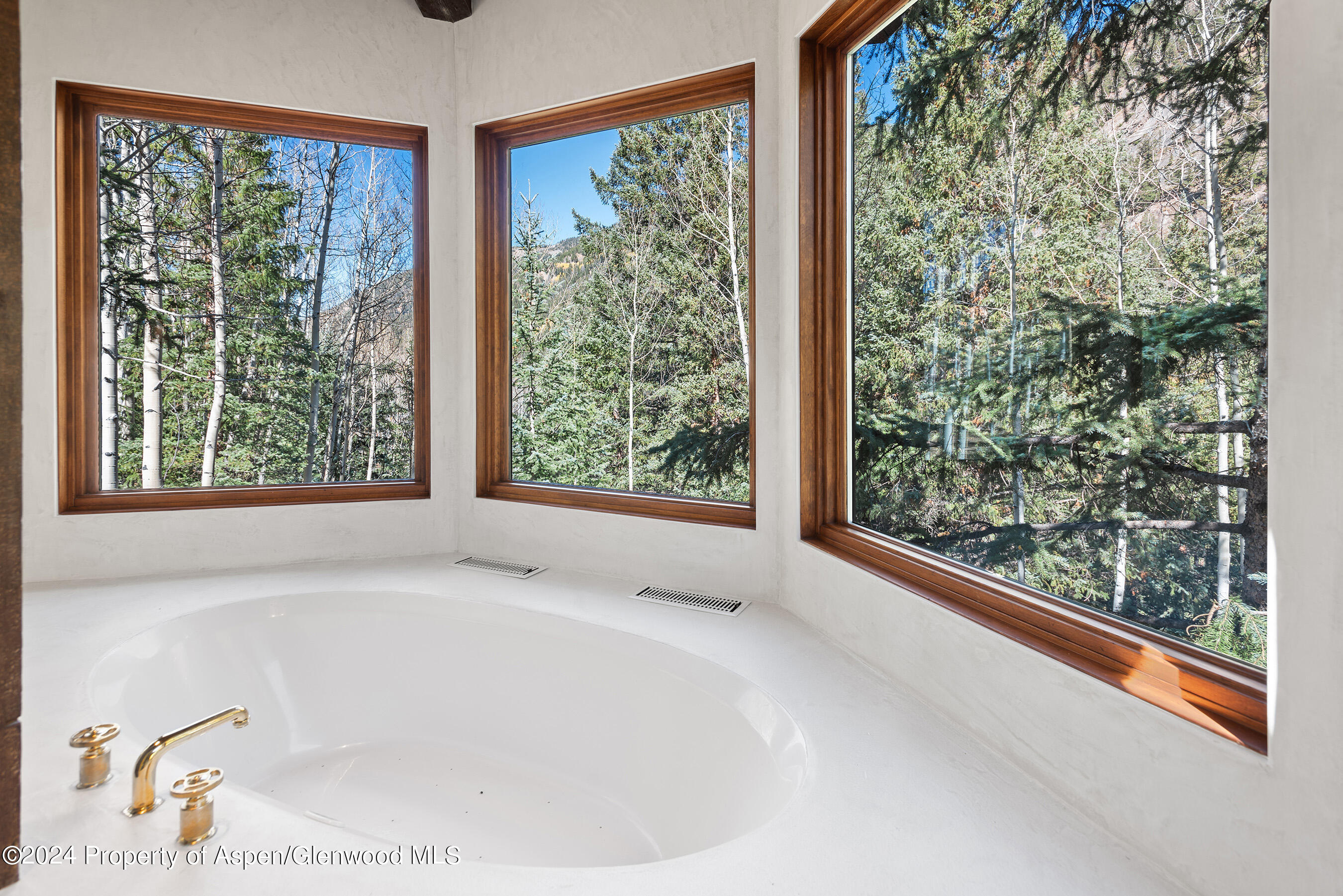 9888 Castle Creek Road Aspen CO 81611