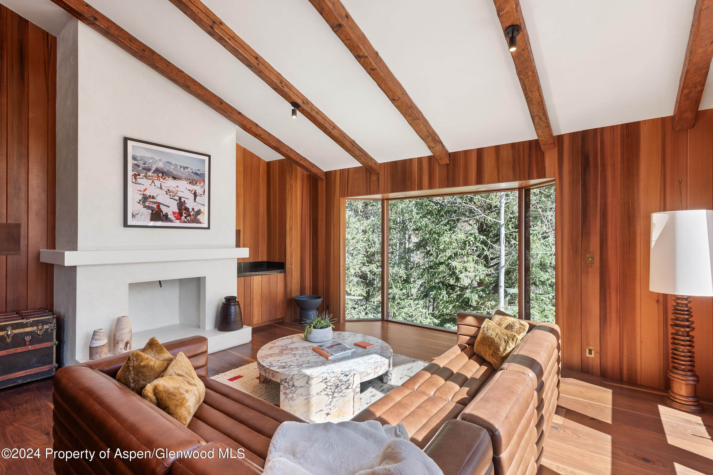 9888 Castle Creek Road Aspen CO 81611