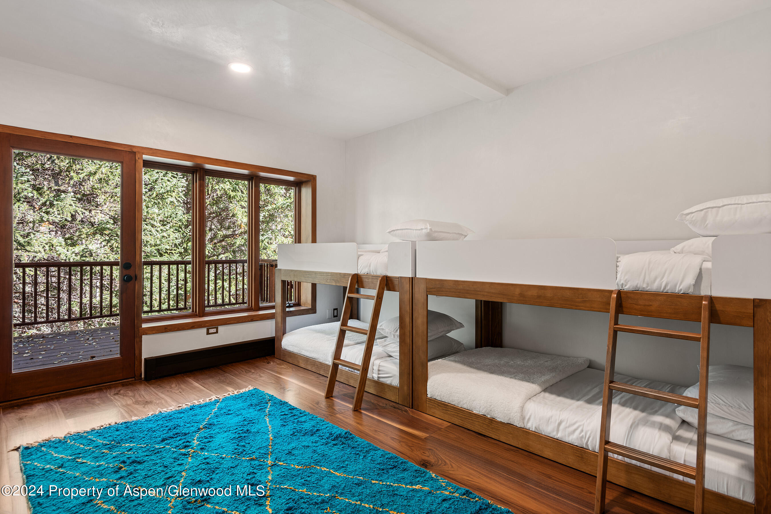 9888 Castle Creek Road Aspen CO 81611