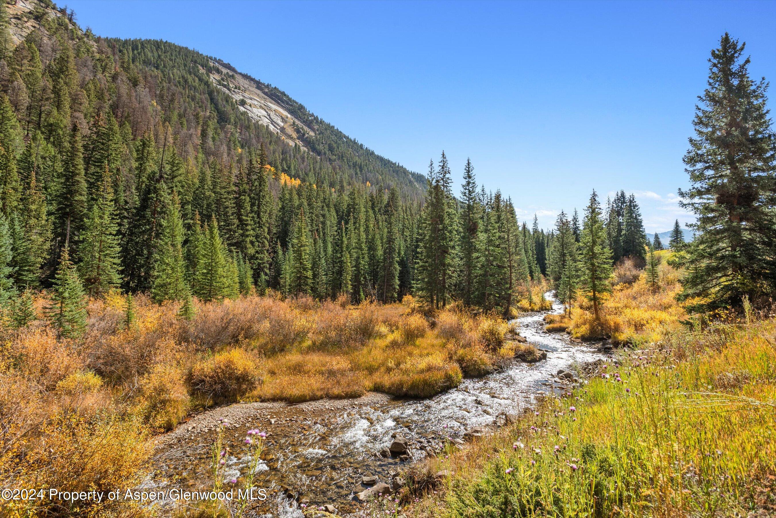 9888 Castle Creek Road Aspen CO 81611