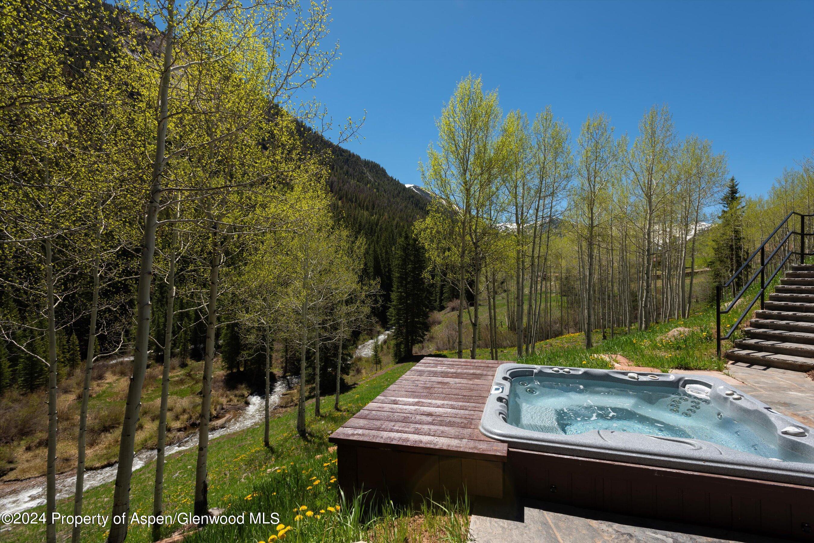 9888 Castle Creek Road Aspen CO 81611