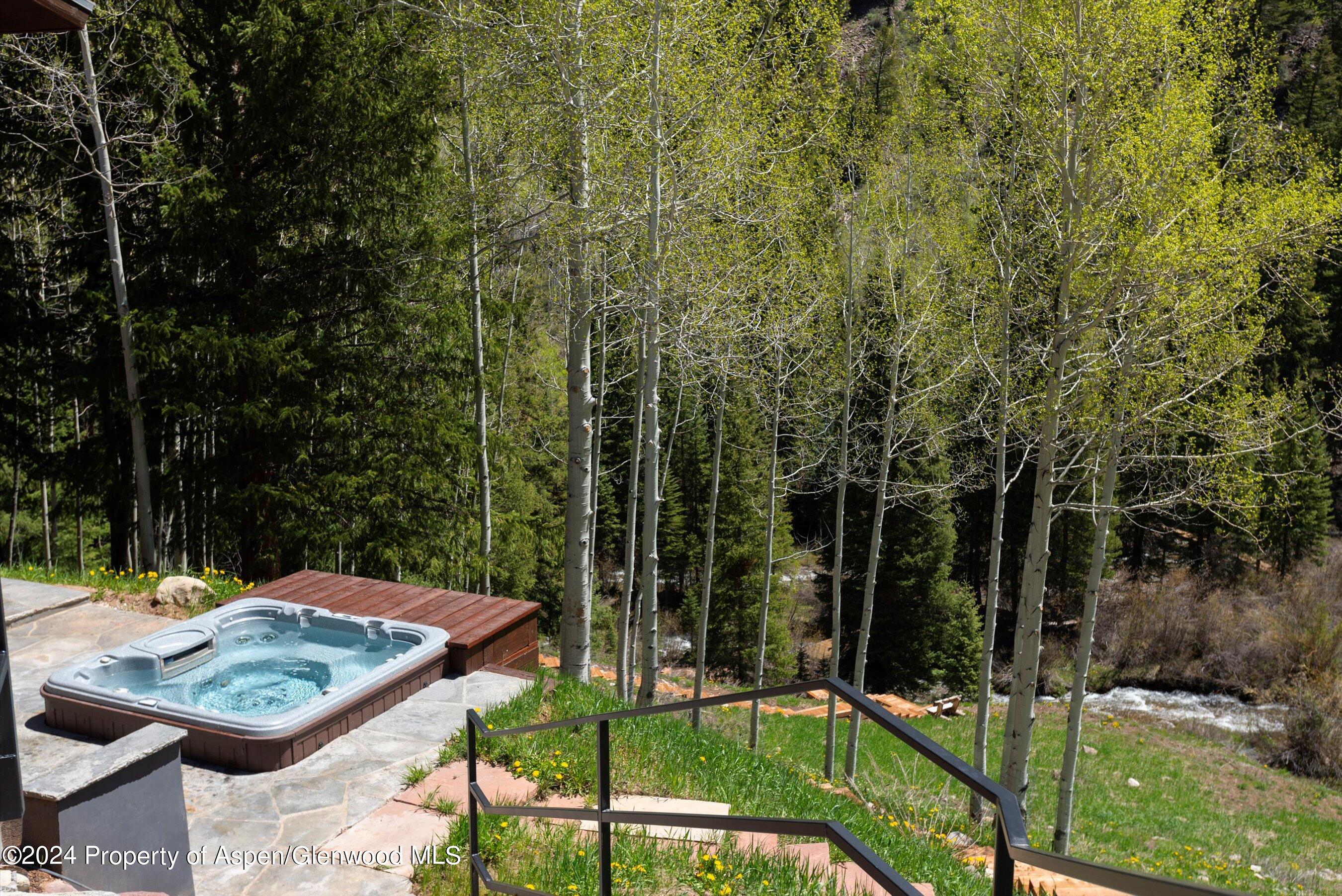 9888 Castle Creek Road Aspen CO 81611