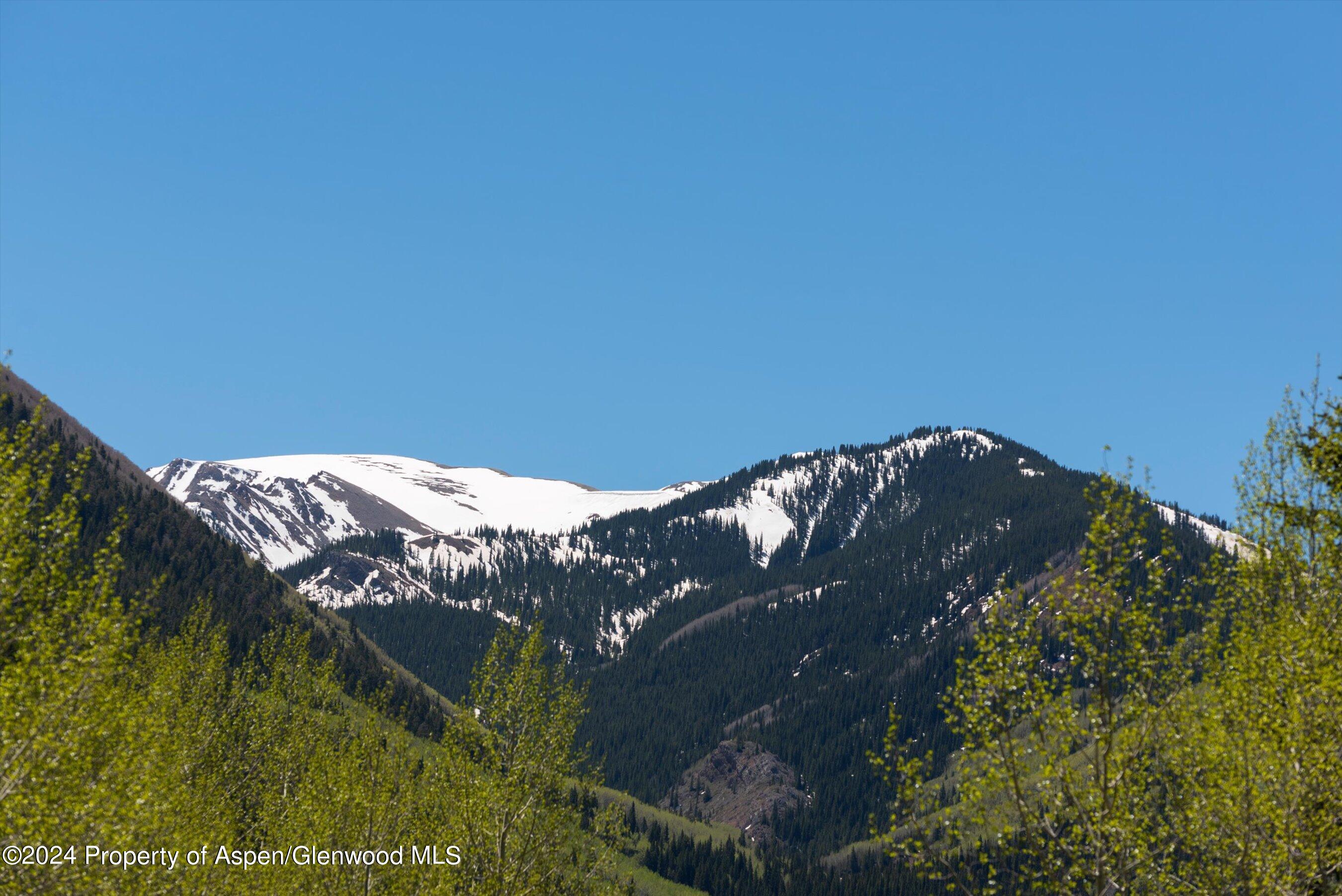 9888 Castle Creek Road Aspen CO 81611