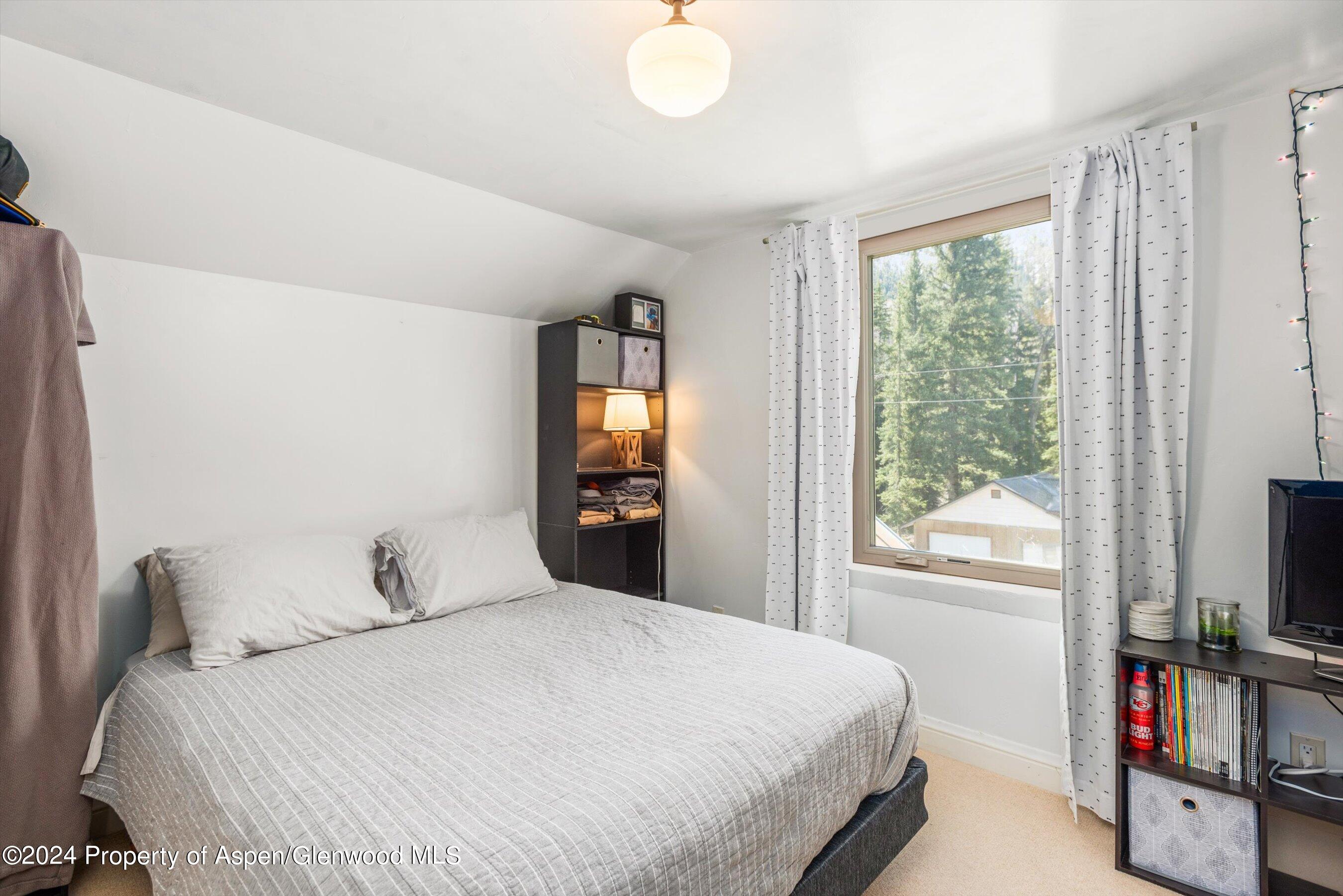 113 W State Street Marble CO 81623