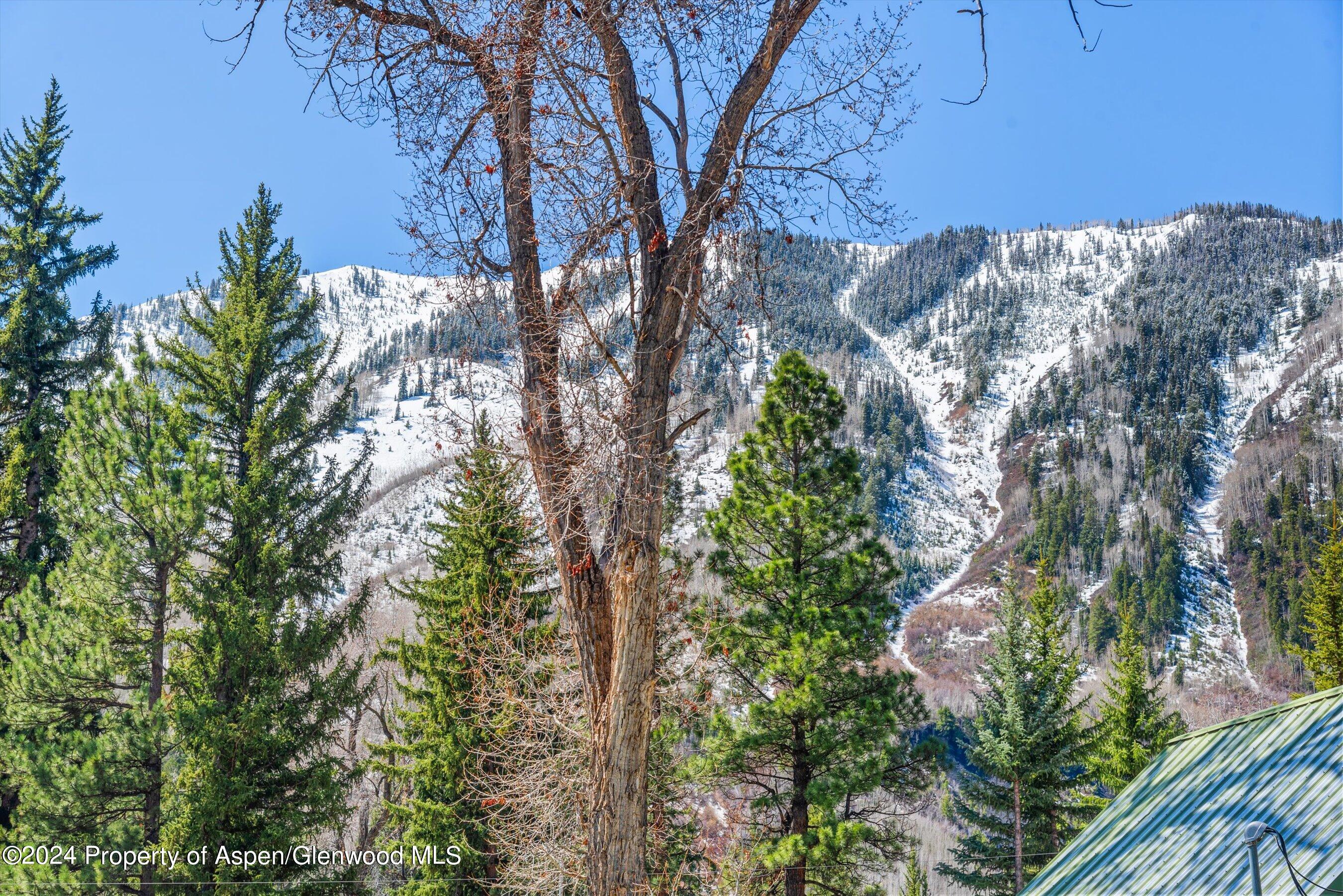 113 W State Street Marble CO 81623