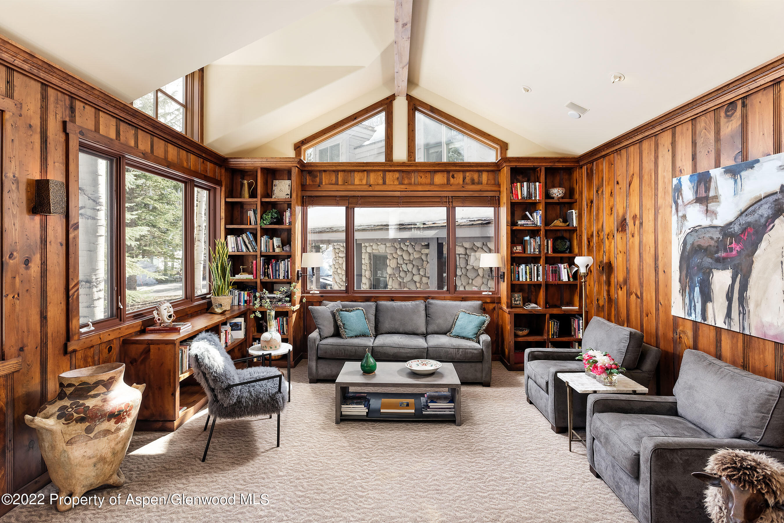 1205 Red Butte Drive Aspen CO 81611