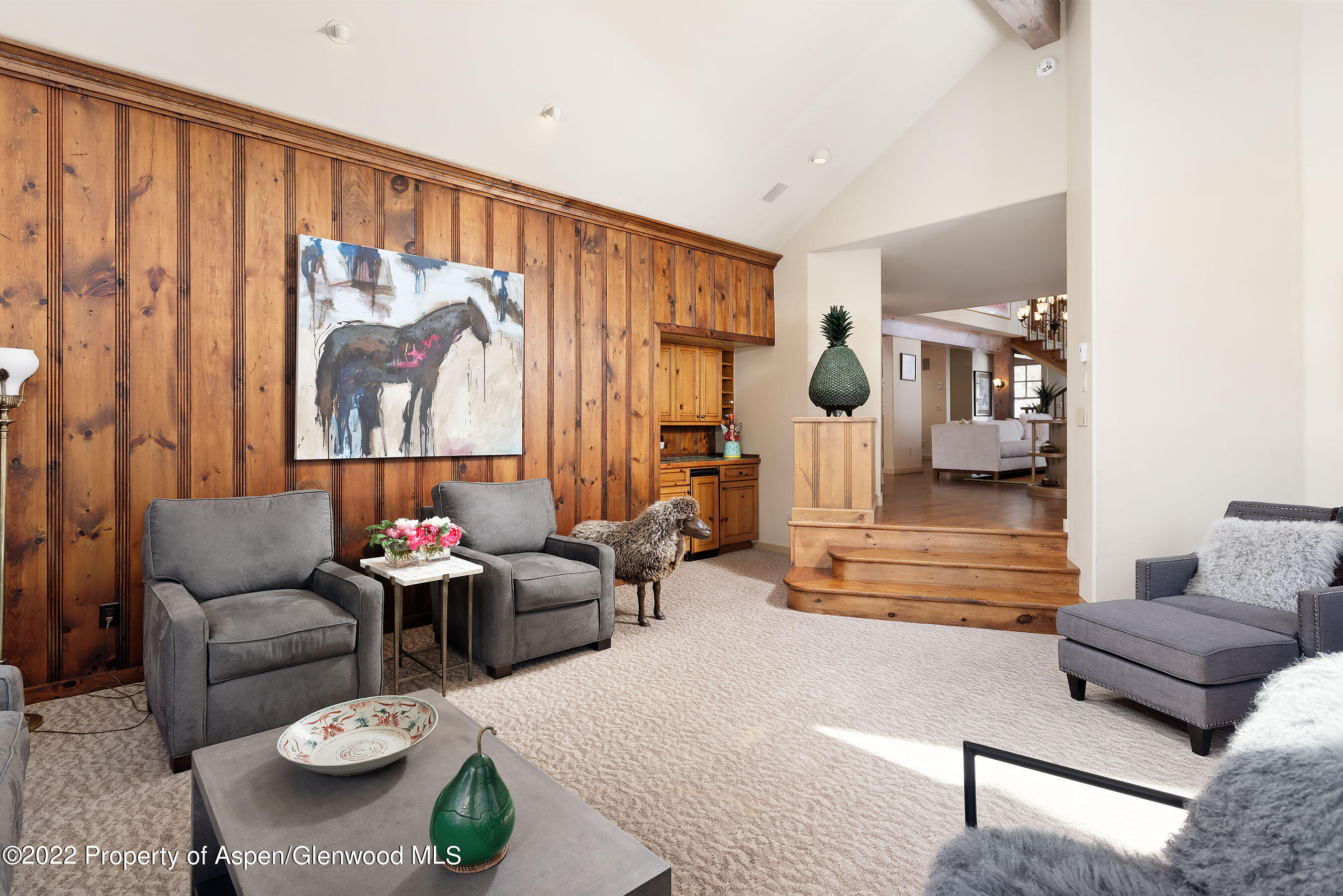 1205 Red Butte Drive Aspen CO 81611