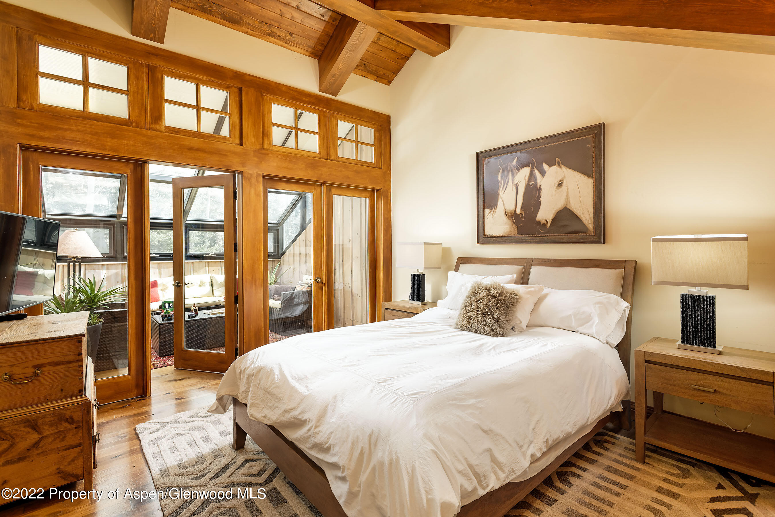 1205 Red Butte Drive Aspen CO 81611