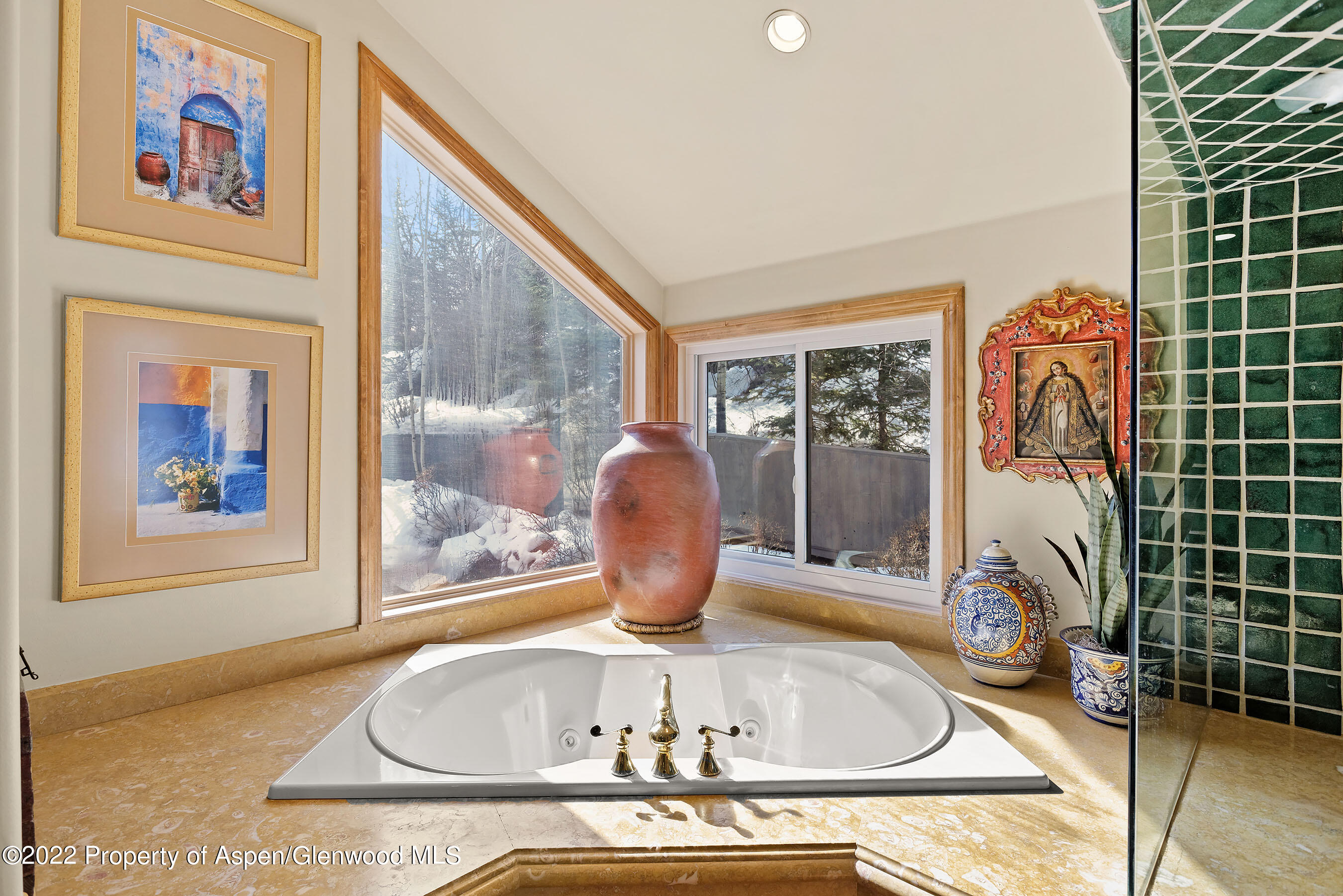 1205 Red Butte Drive Aspen CO 81611