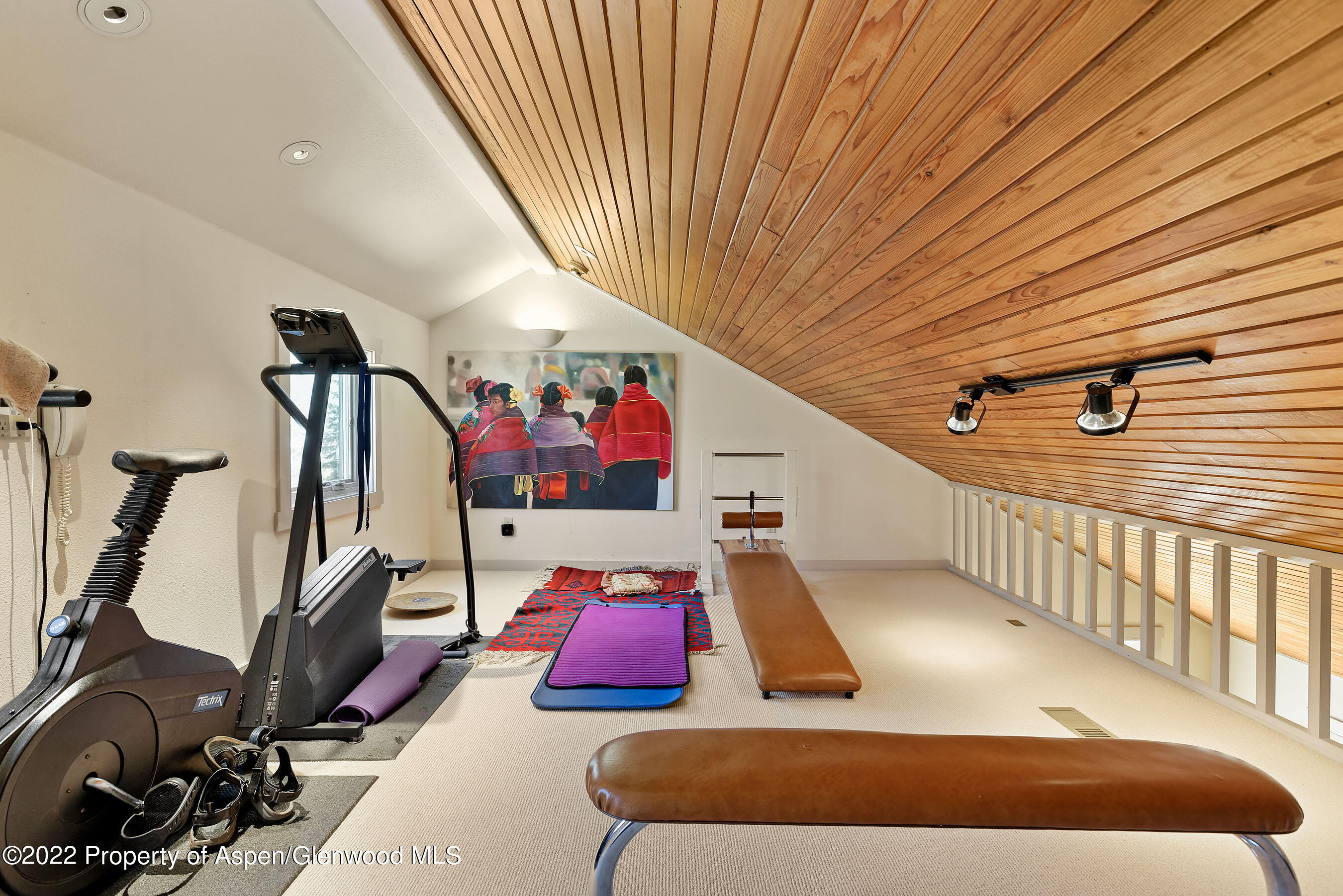 1205 Red Butte Drive Aspen CO 81611