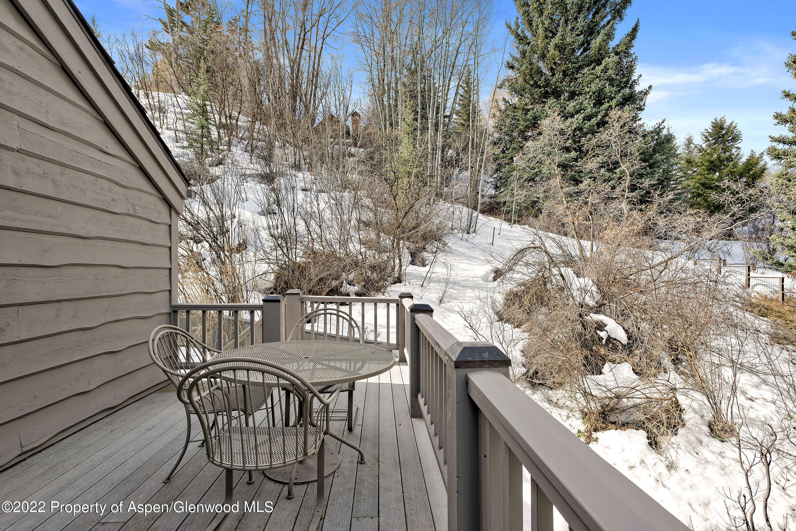 1205 Red Butte Drive Aspen CO 81611