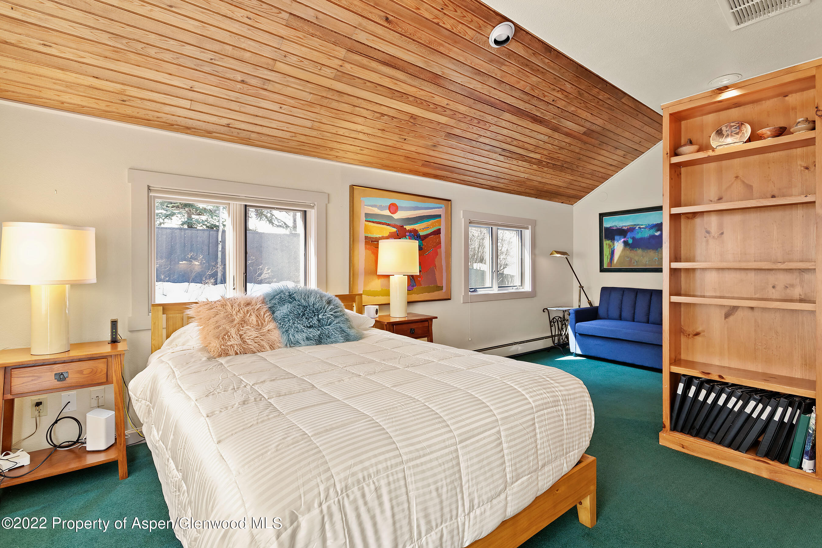 1205 Red Butte Drive Aspen CO 81611