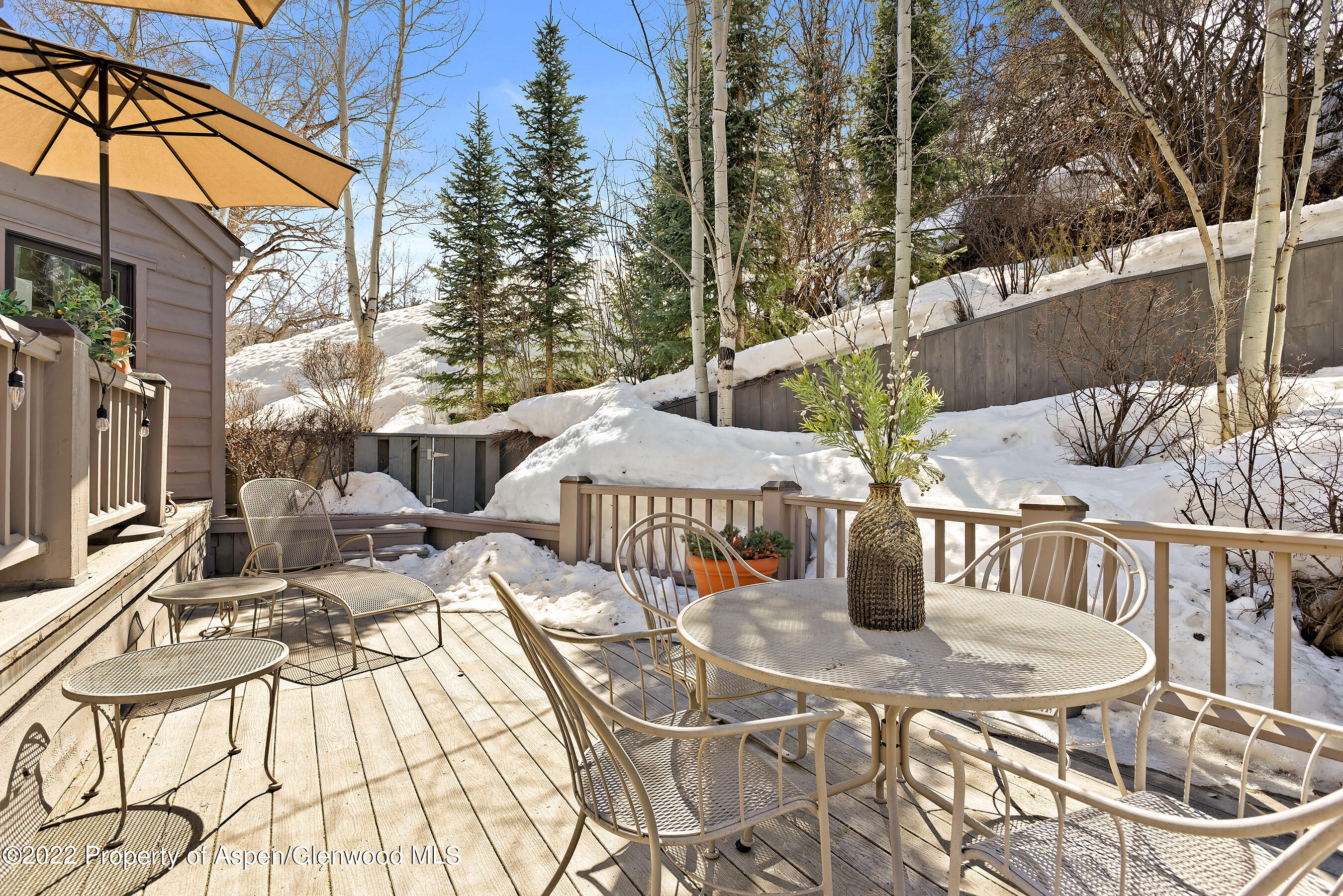 1205 Red Butte Drive Aspen CO 81611