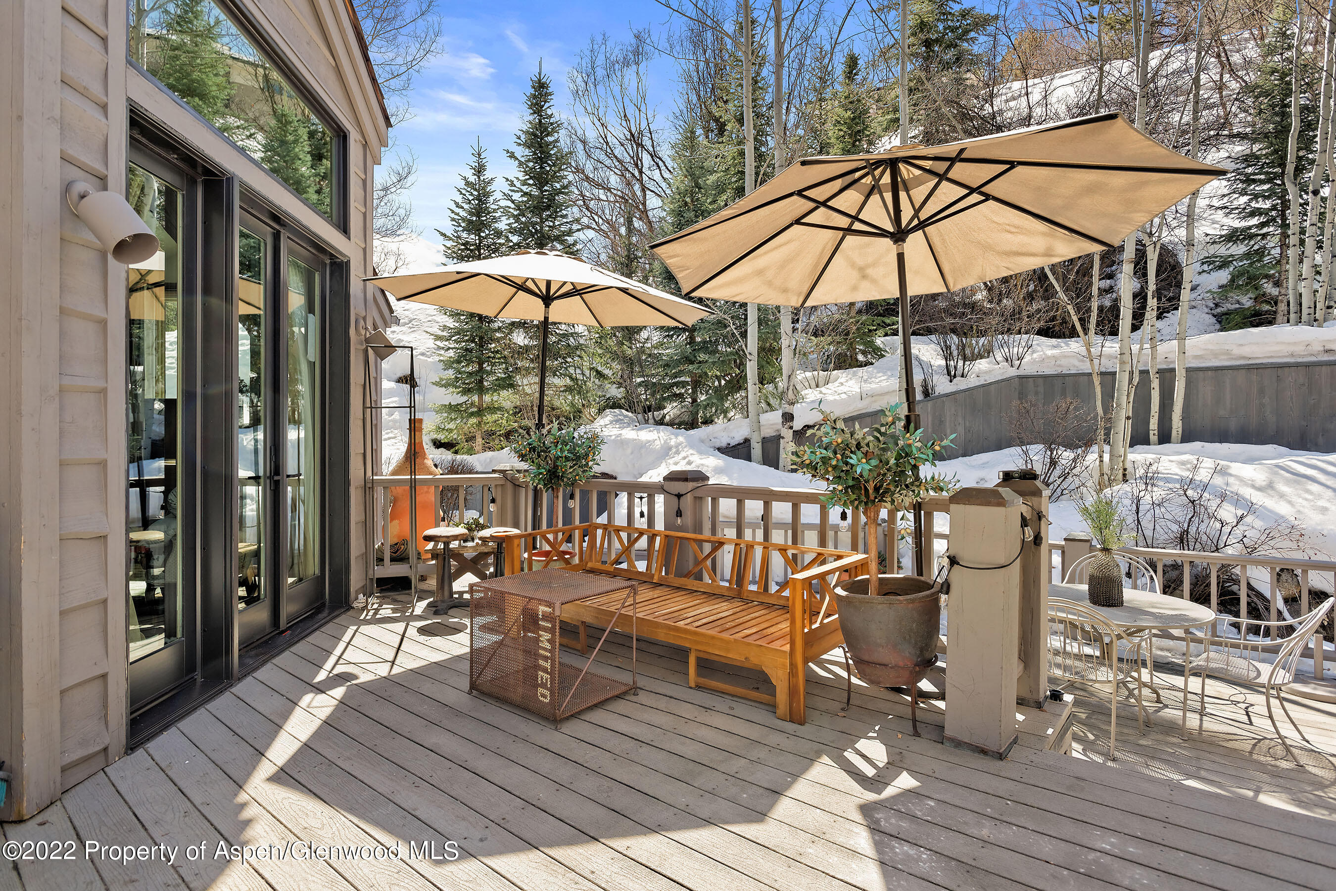 1205 Red Butte Drive Aspen CO 81611