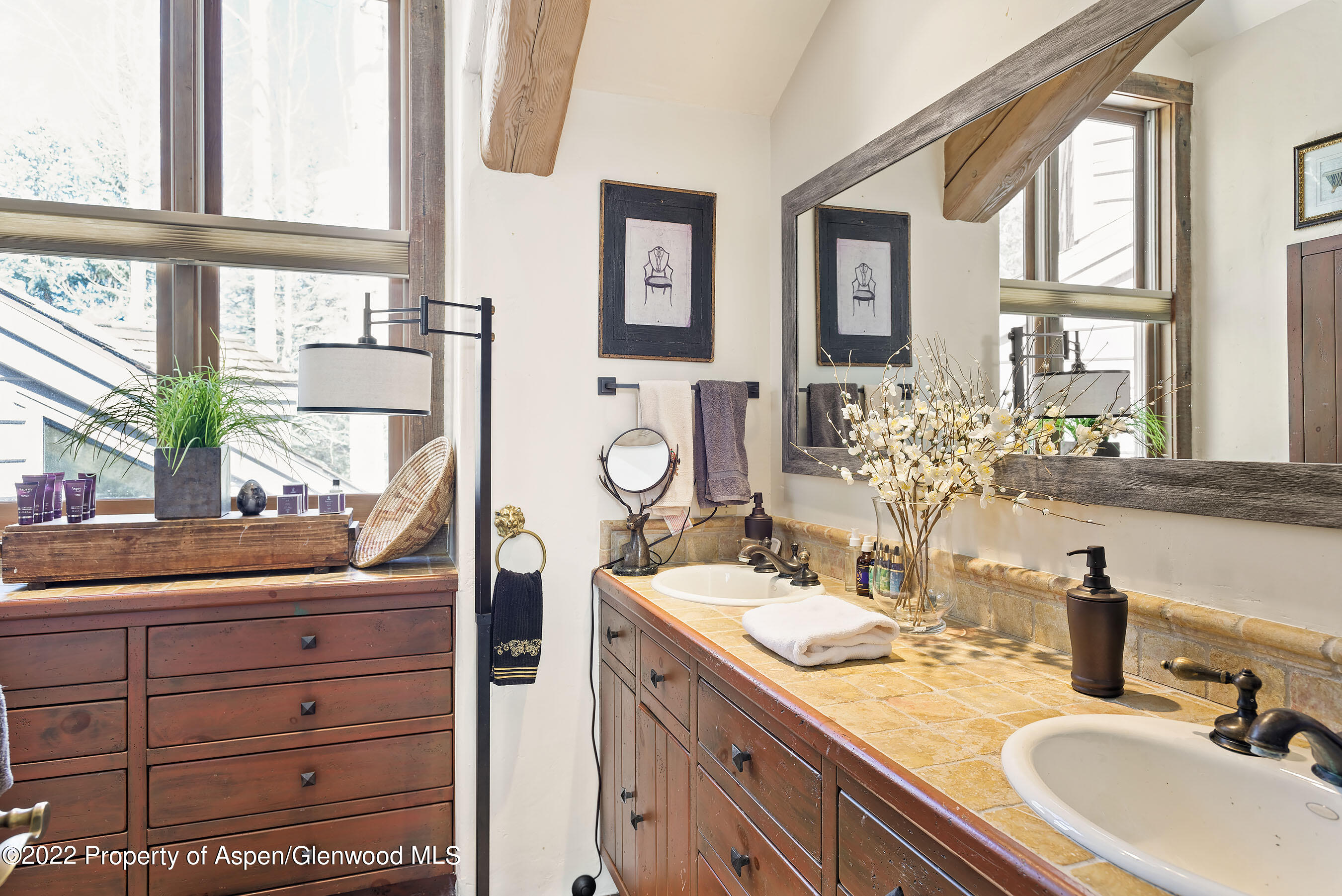 1205 Red Butte Drive Aspen CO 81611