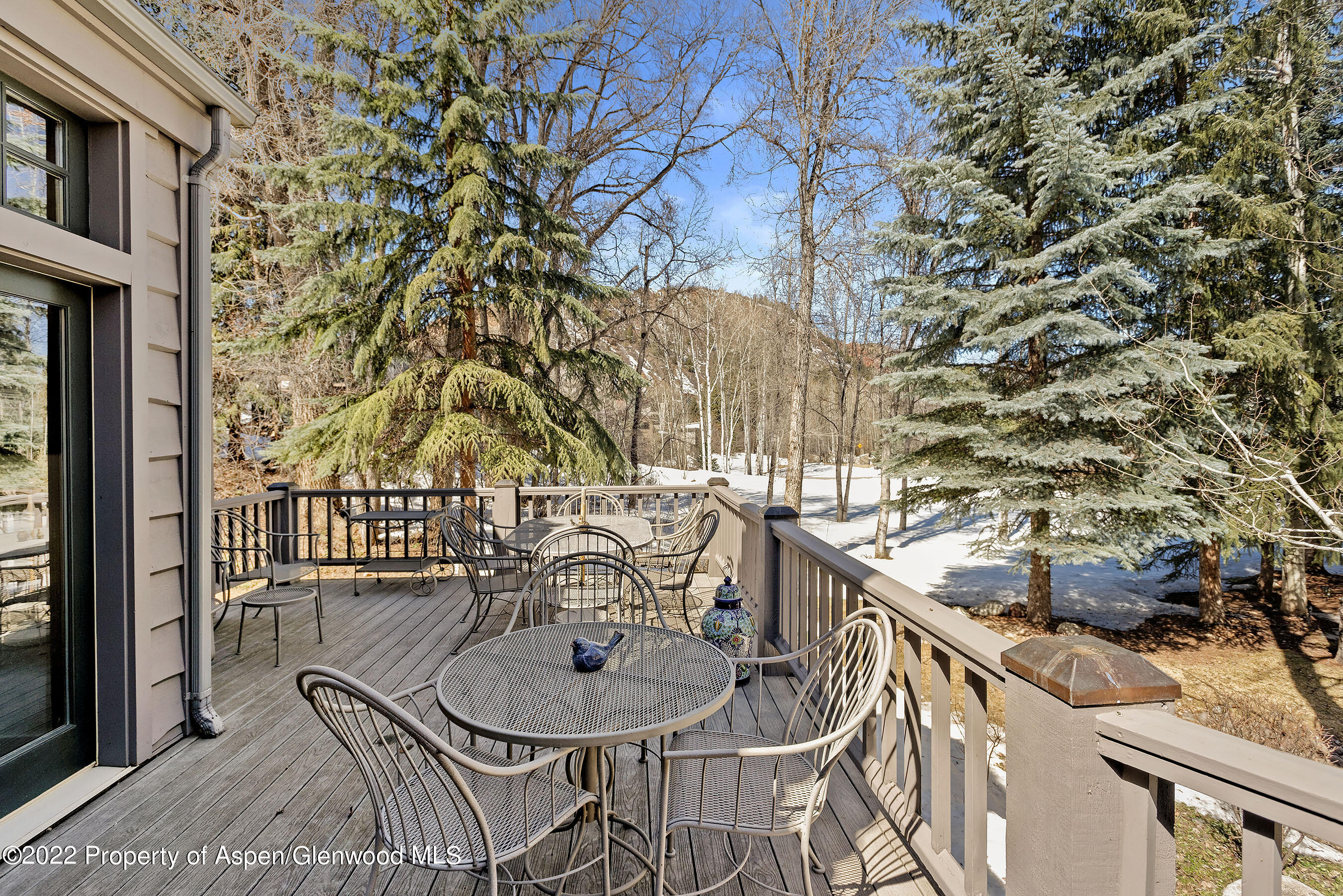 1205 Red Butte Drive Aspen CO 81611