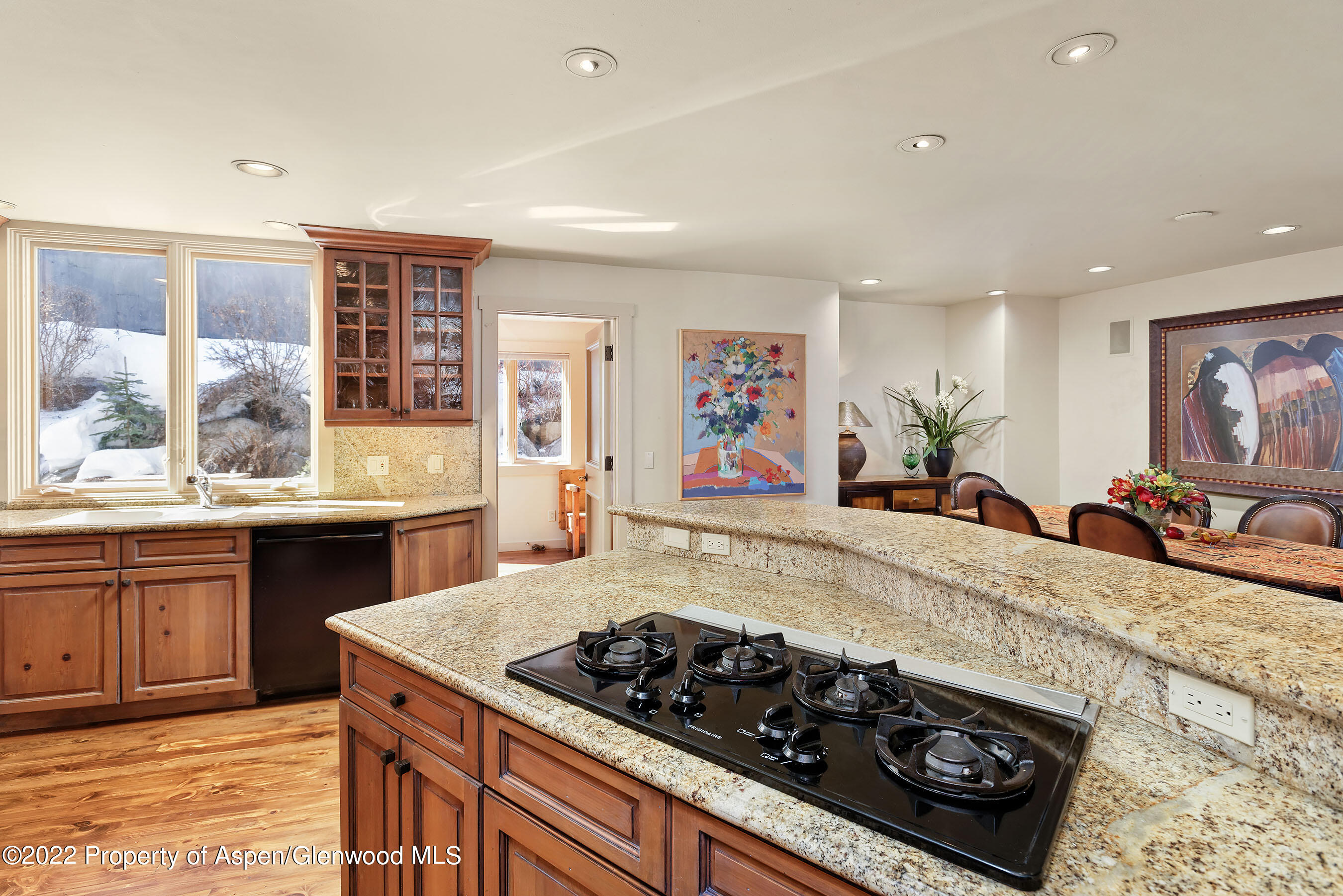 1205 Red Butte Drive Aspen CO 81611