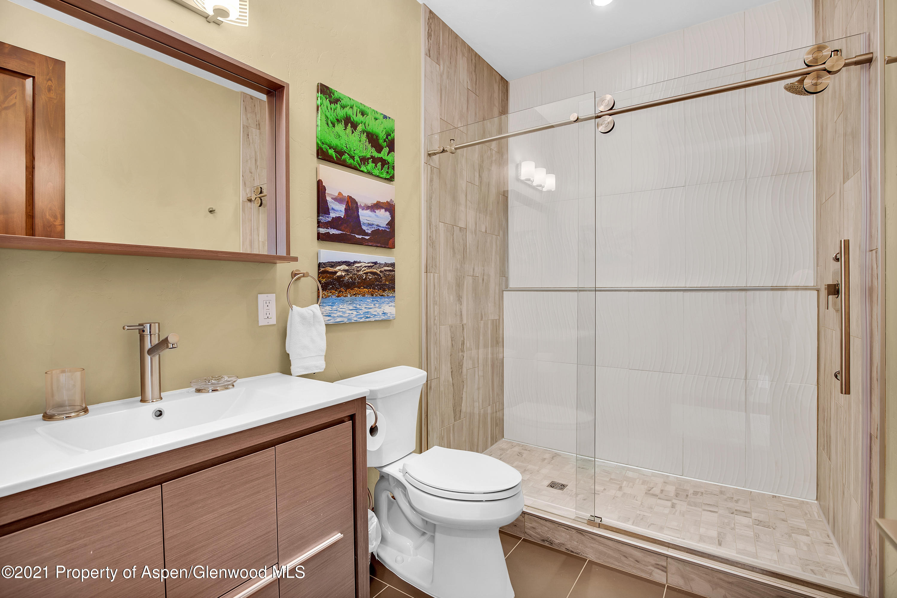 262 Wooden Deer Road Carbondale CO 81623