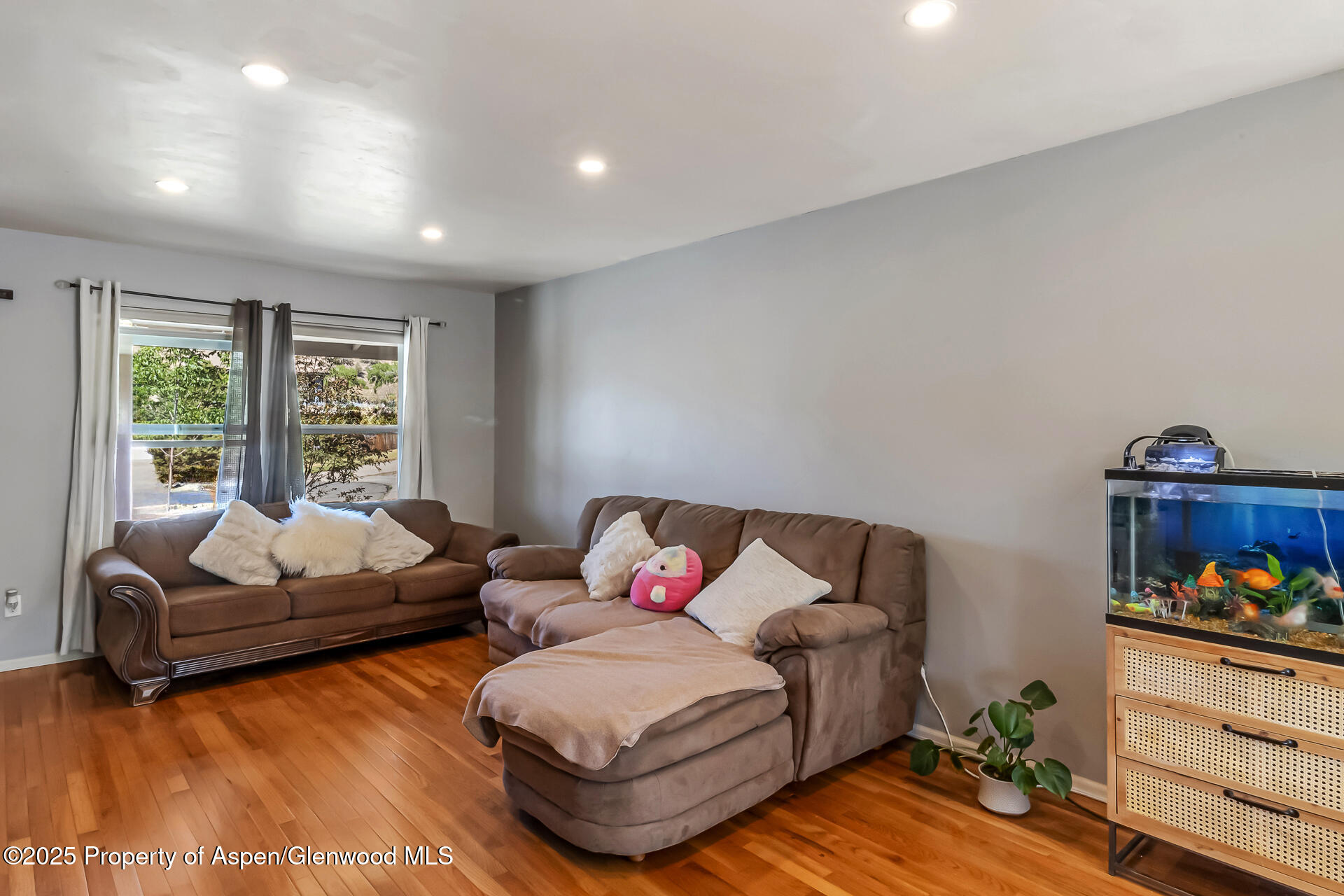 2618 Apache Court Rifle CO 81650