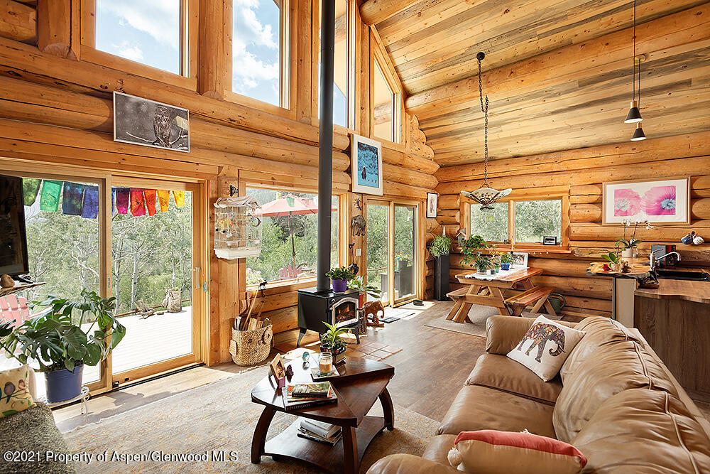 1318 Mclaughlin Lane Basalt CO 81621