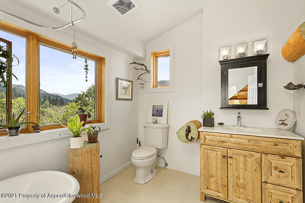 1318 Mclaughlin Lane Basalt CO 81621