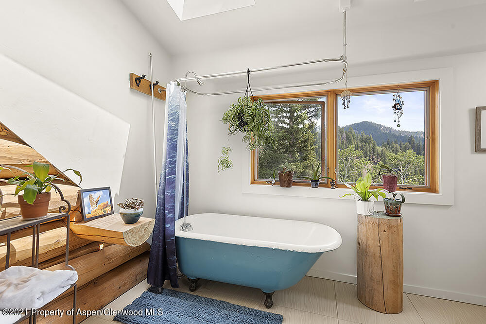 1318 Mclaughlin Lane Basalt CO 81621
