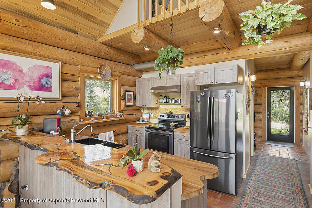 1318 Mclaughlin Lane Basalt CO 81621