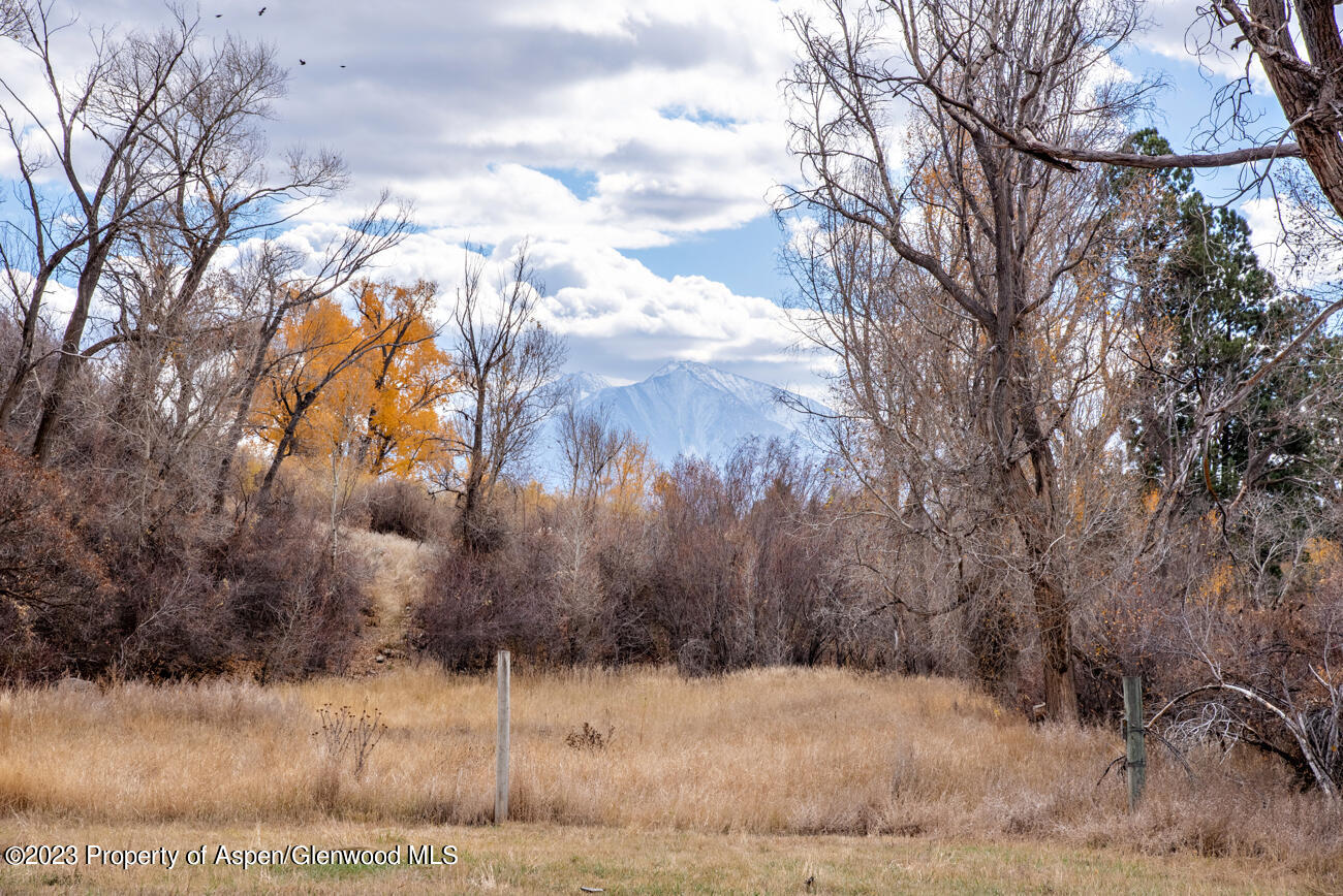 9177 Highway 82 Carbondale CO 81623