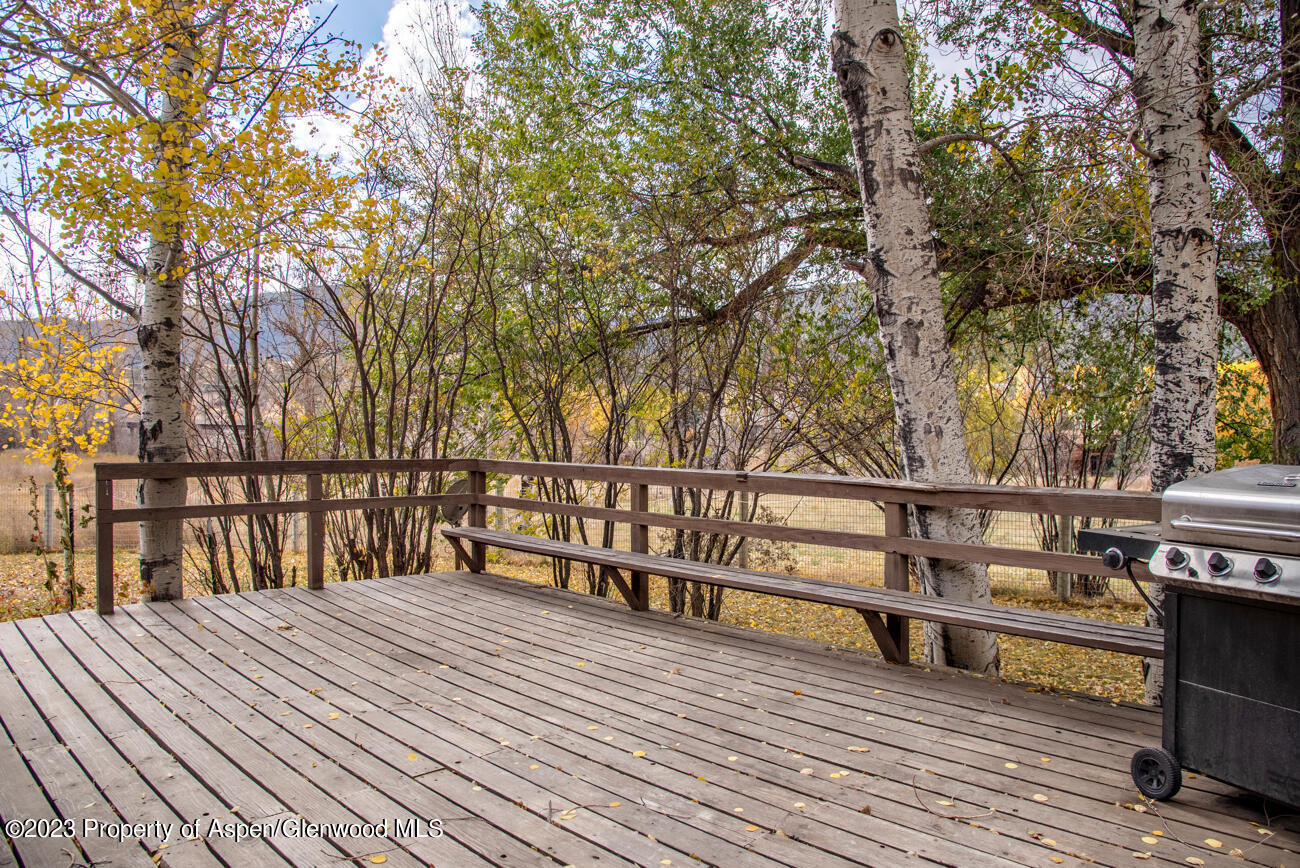 9177 Highway 82 Carbondale CO 81623