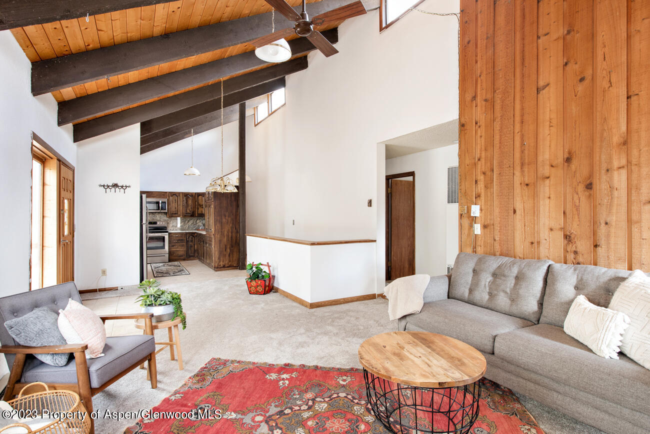 9177 Highway 82 Carbondale CO 81623