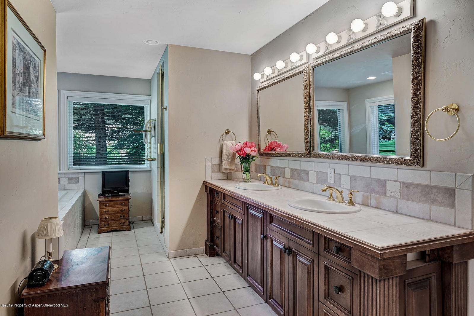 78 Buffalo Lane Carbondale CO 81623
