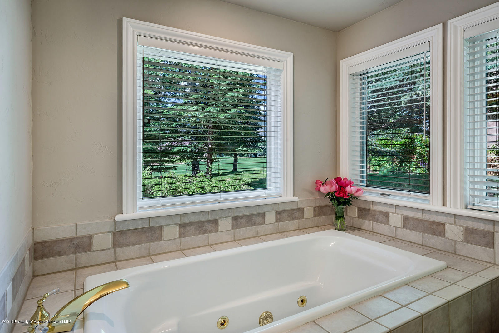 78 Buffalo Lane Carbondale CO 81623