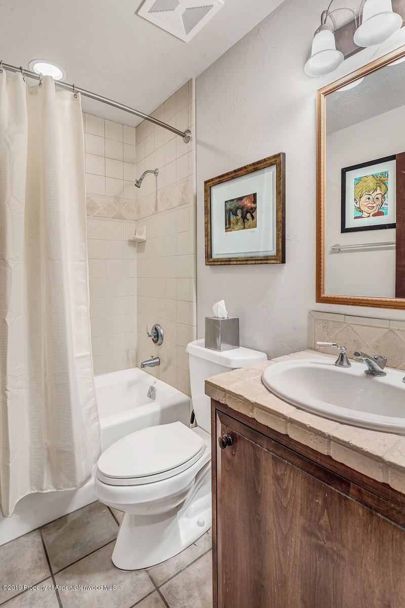78 Buffalo Lane Carbondale CO 81623