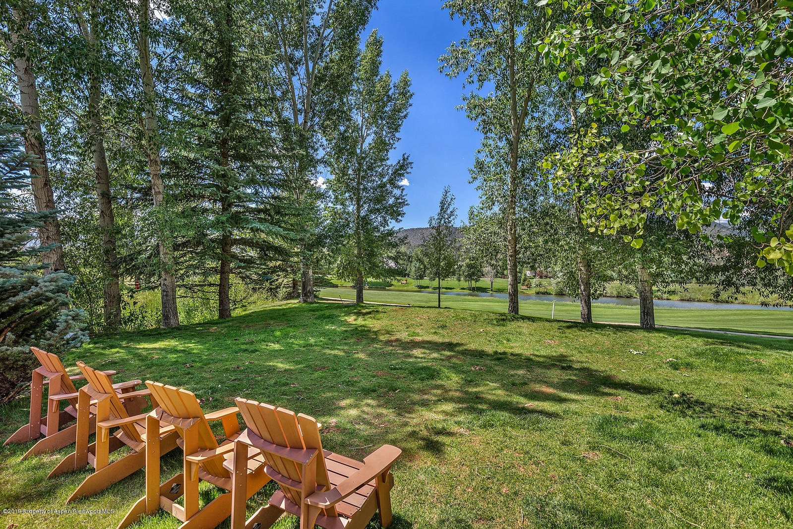 78 Buffalo Lane Carbondale CO 81623