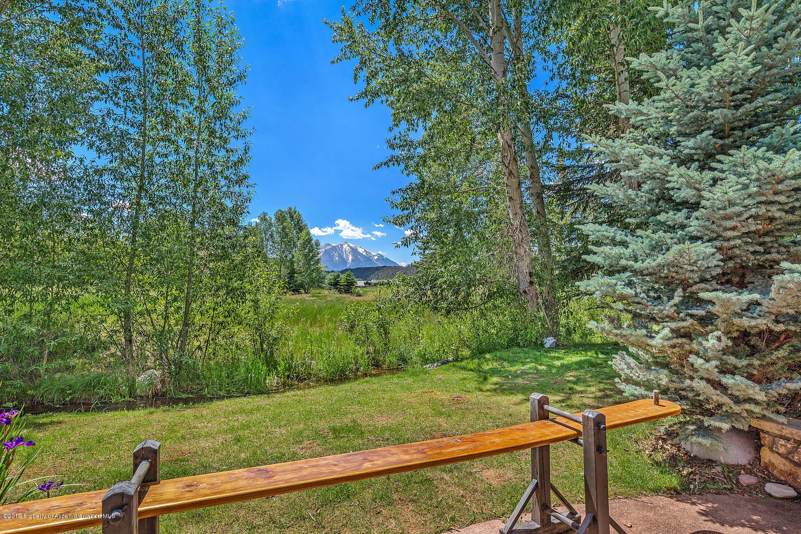 78 Buffalo Lane Carbondale CO 81623
