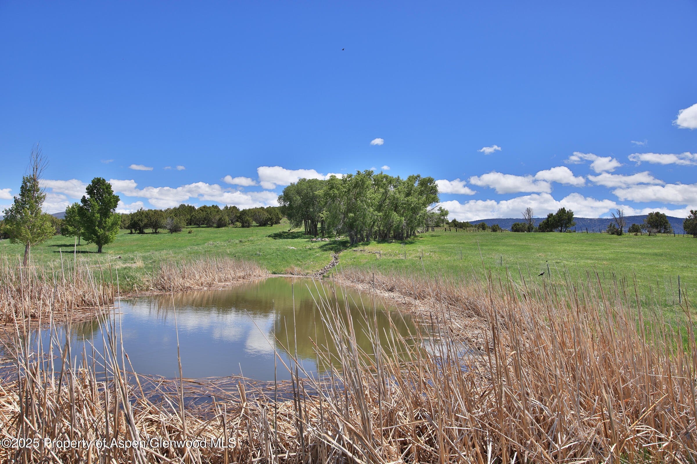 57191 Me Road Collbran CO 81624