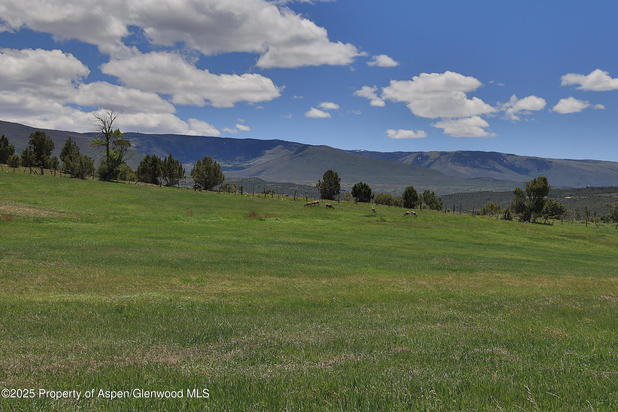 57191 Me Road Collbran CO 81624