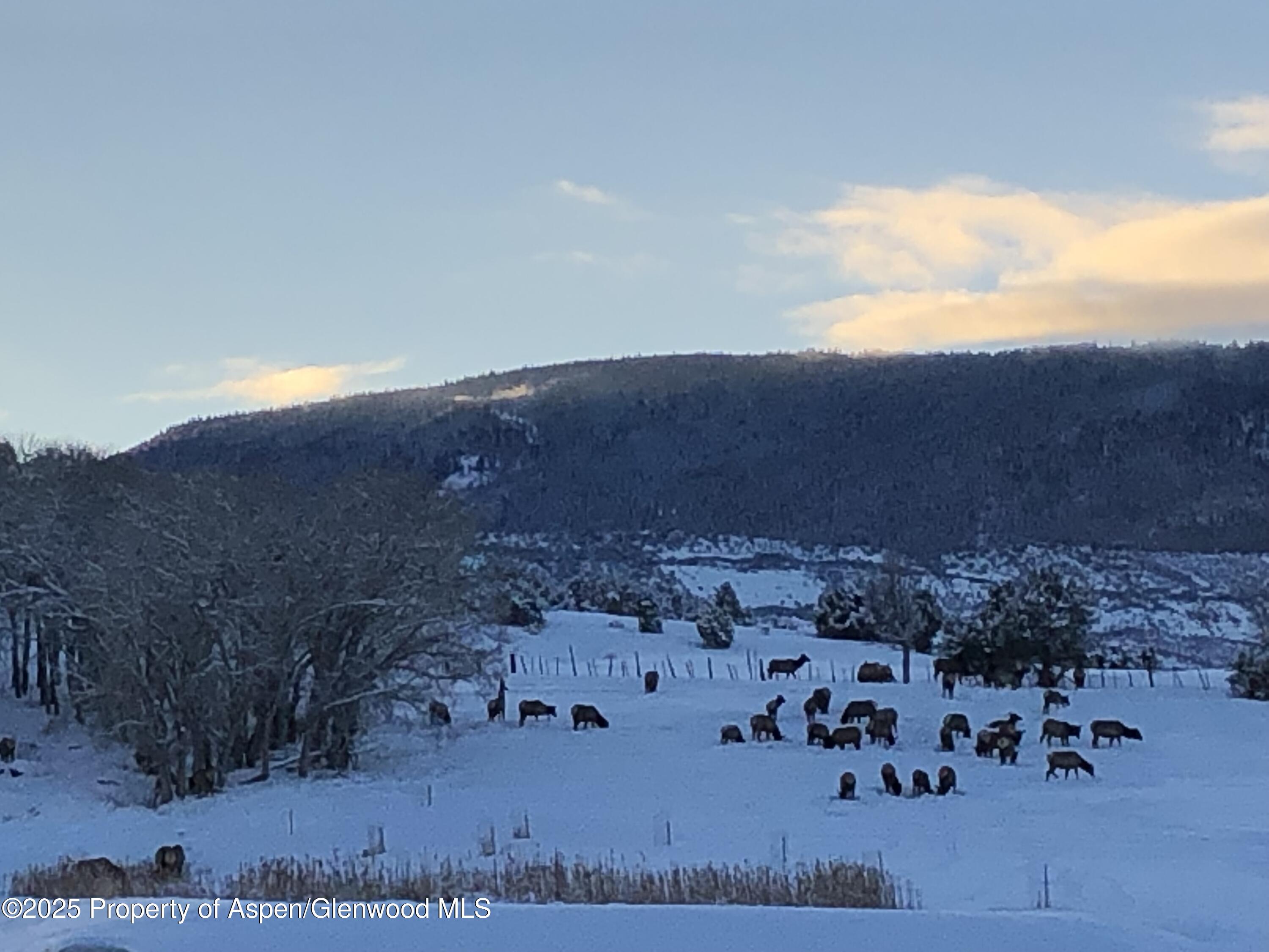 57191 Me Road Collbran CO 81624