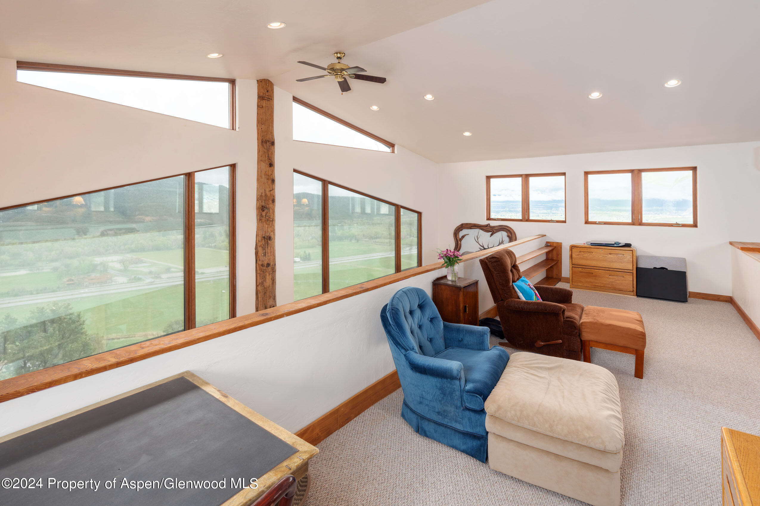 222 Crest Point Drive Carbondale CO 81623