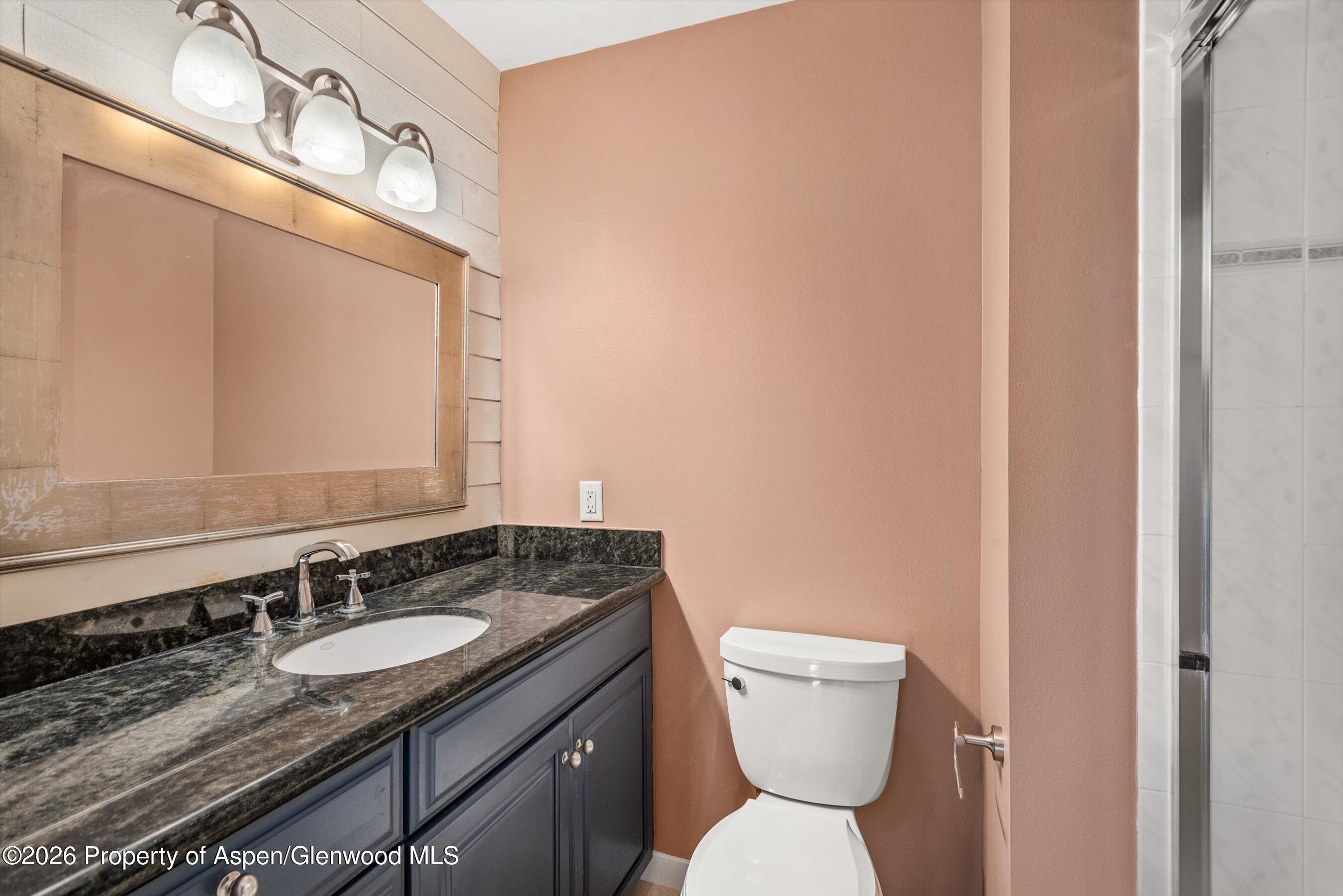 68 Marble Court Carbondale CO 81623