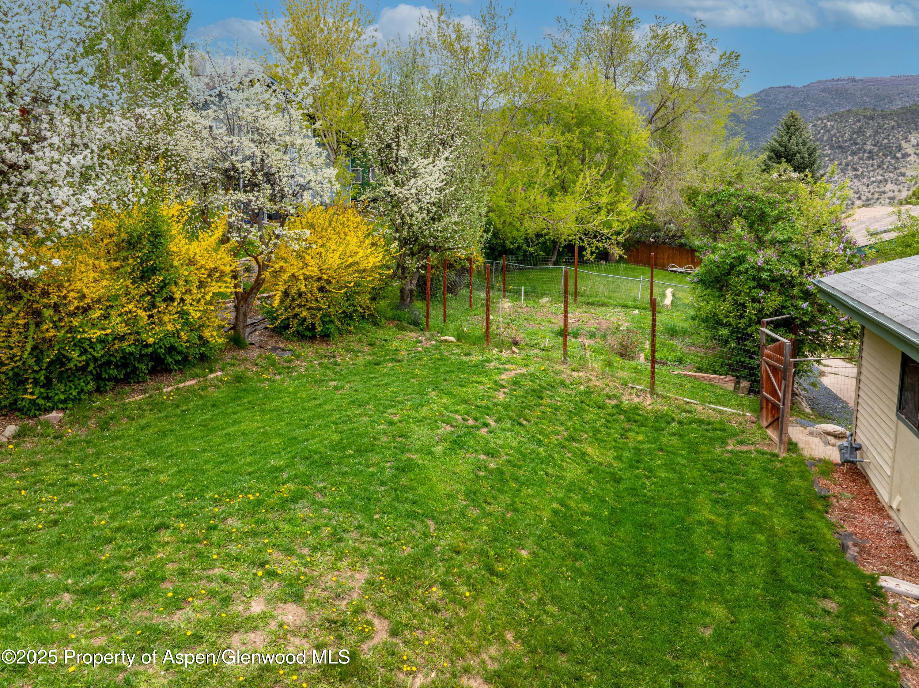1309 Riverview Avenue Glenwood Springs CO 81601