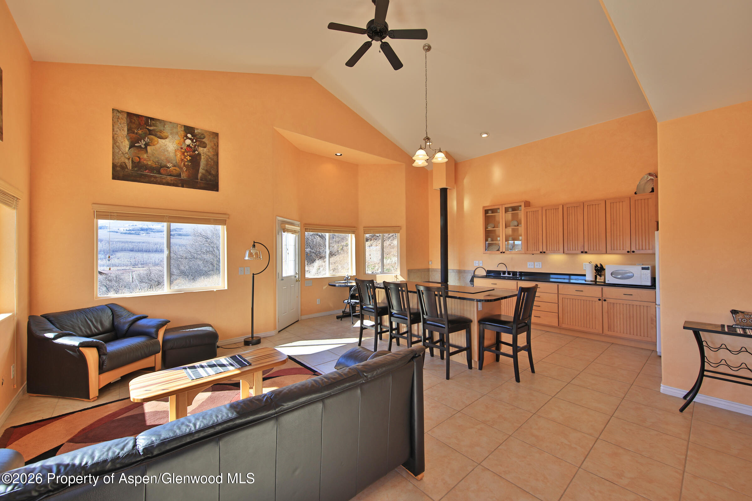 67912 Vega Vista Drive Collbran CO 81624