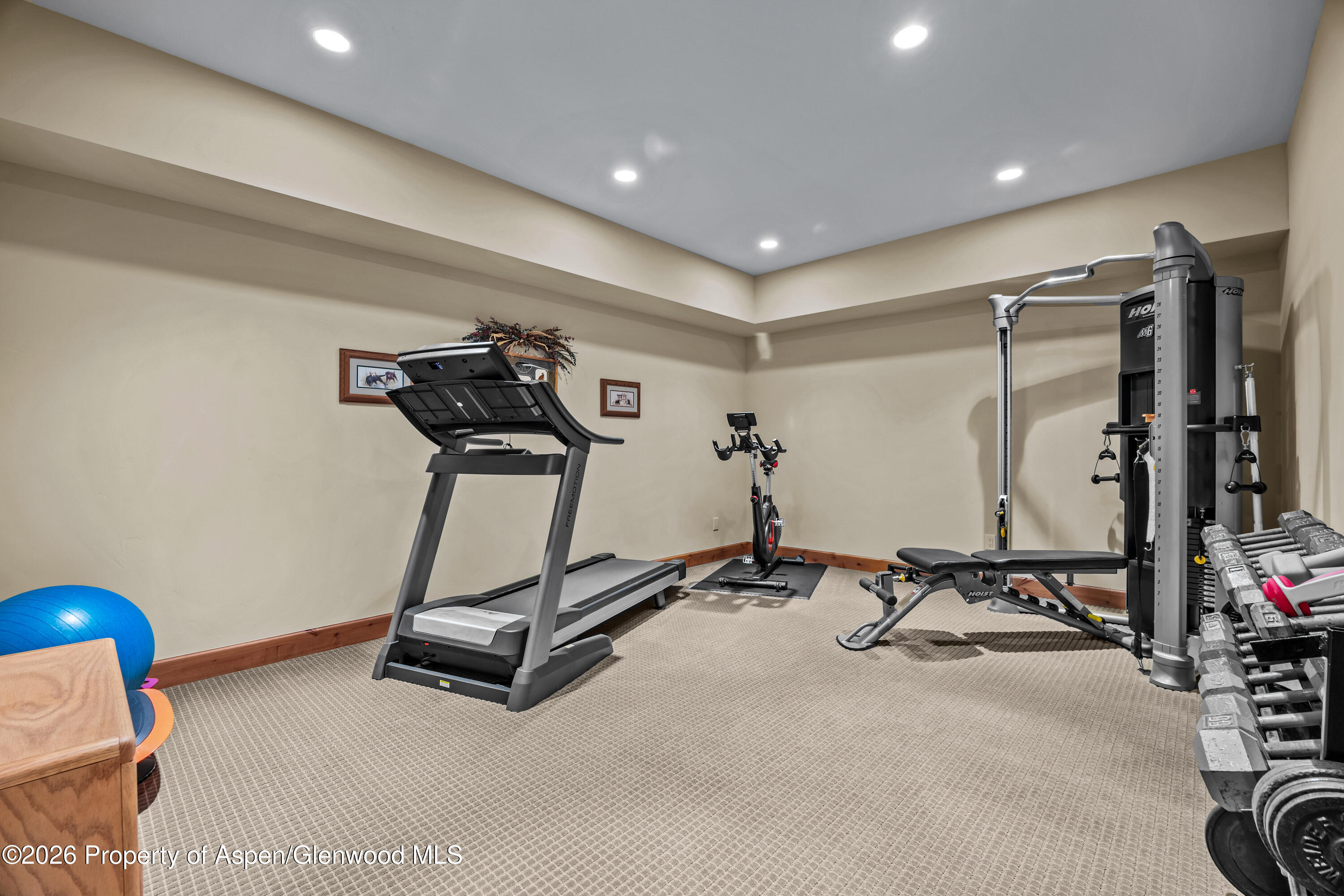 28 Deer Valley Drive New Castle CO 81647