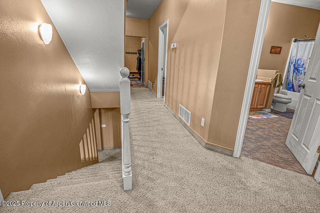 289 Lewis Lane Craig CO 81625