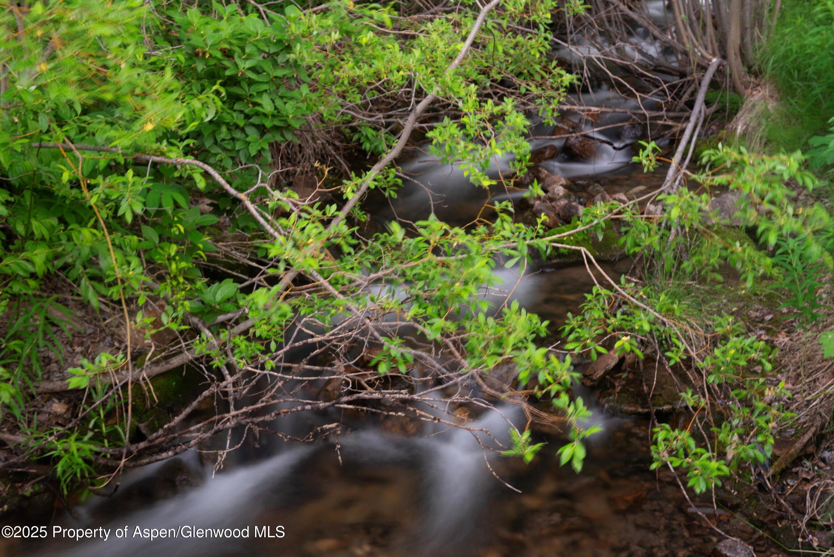 473 Creek Lane Snowmass Village CO 81615